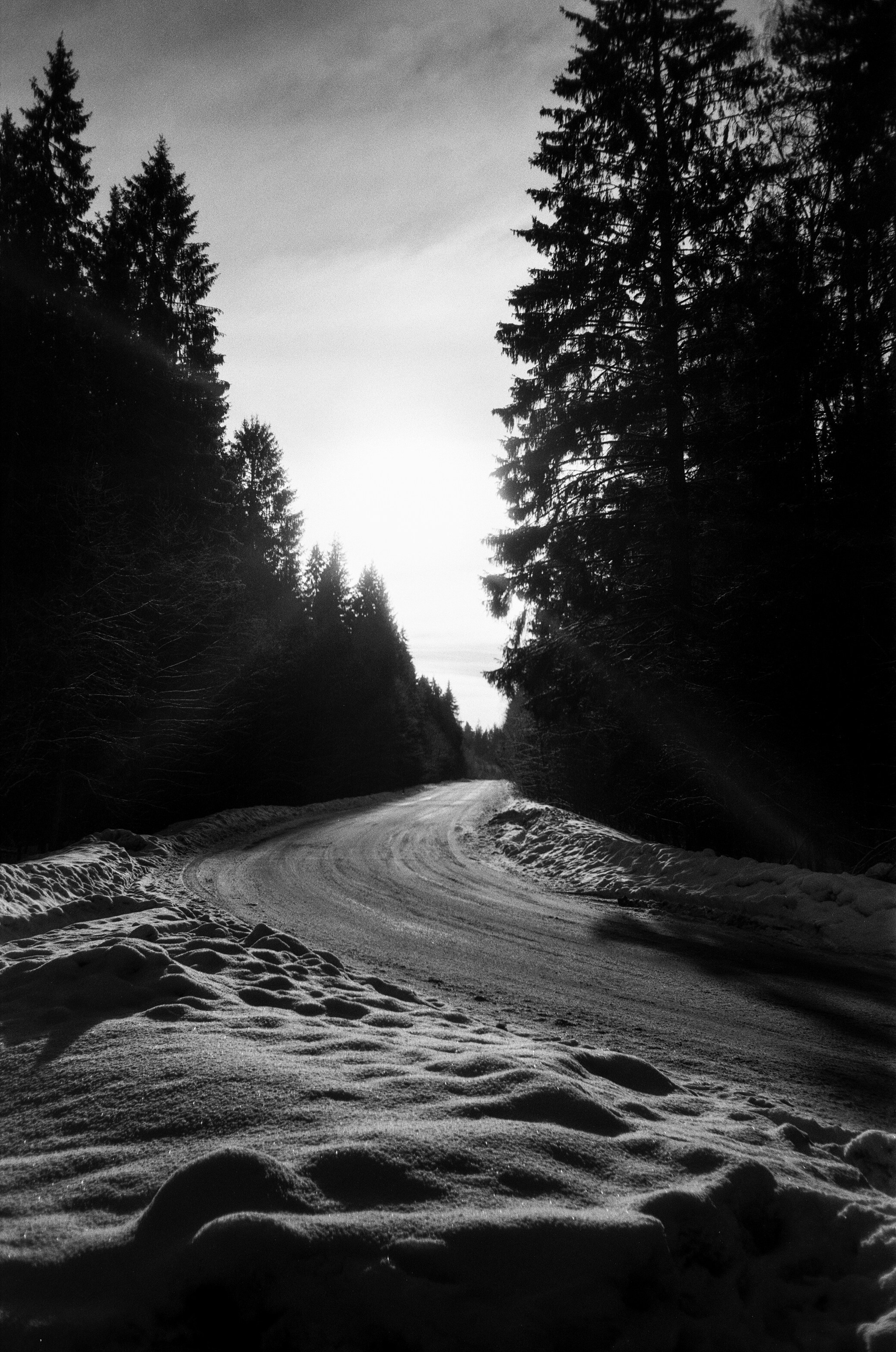 Minox 35GT / Тасма Т-25 ISO 100 / Давыдовское, Лукино