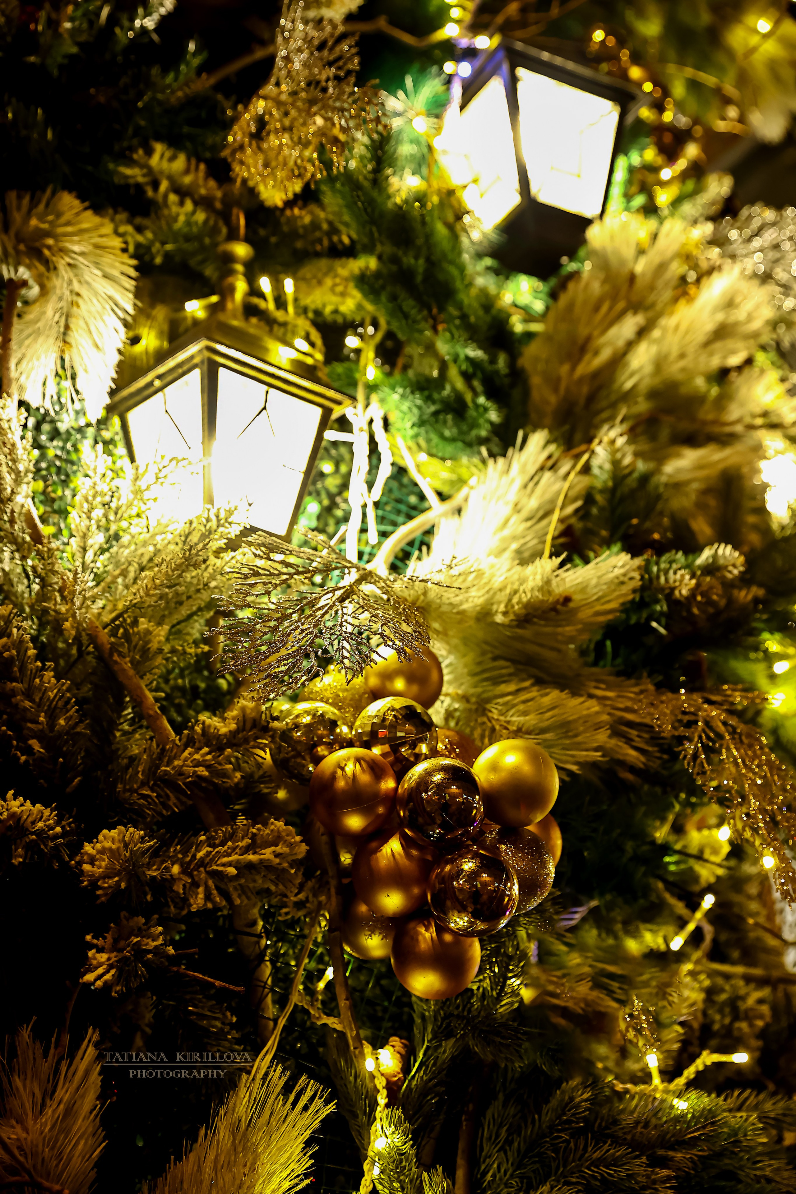 Праздничный город. Фотограф — Татьяна Кириллова, г. Санкт-Петербург