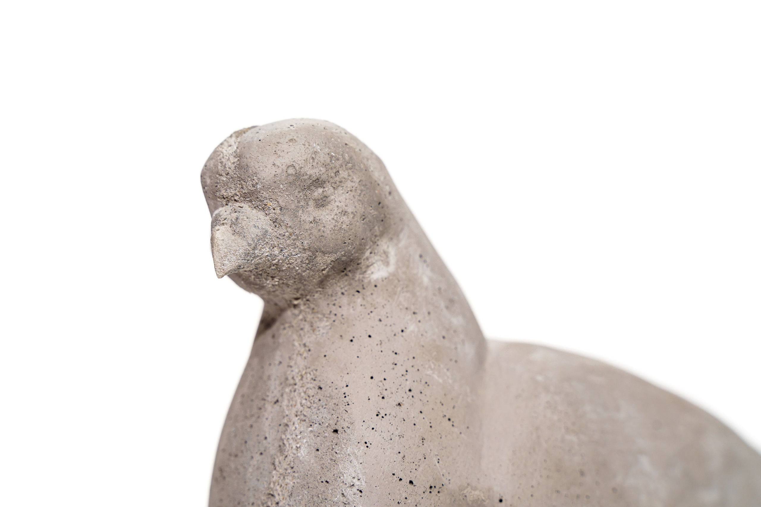 Искусство. Твой фотограф Алина Кочергина