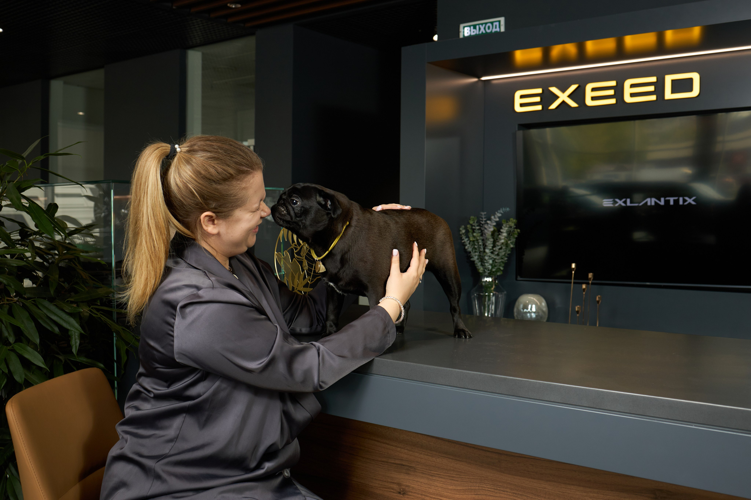 Exeed Pet friendly. Фотограф Михаил Стенин