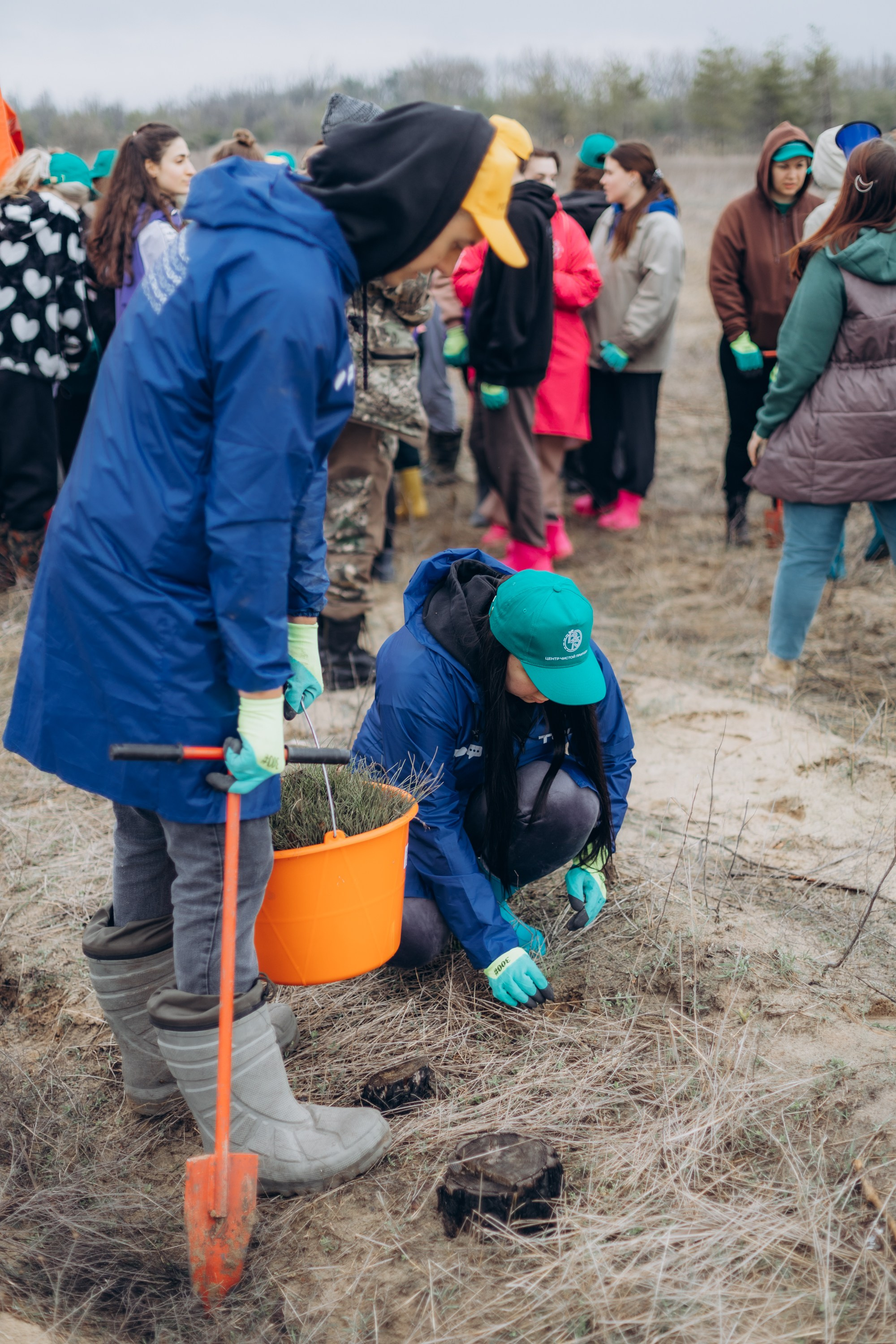Акция «Лес будущего». Артём Панфилов — Свадебный и семейный фотограф в Ростове-на-Дону
