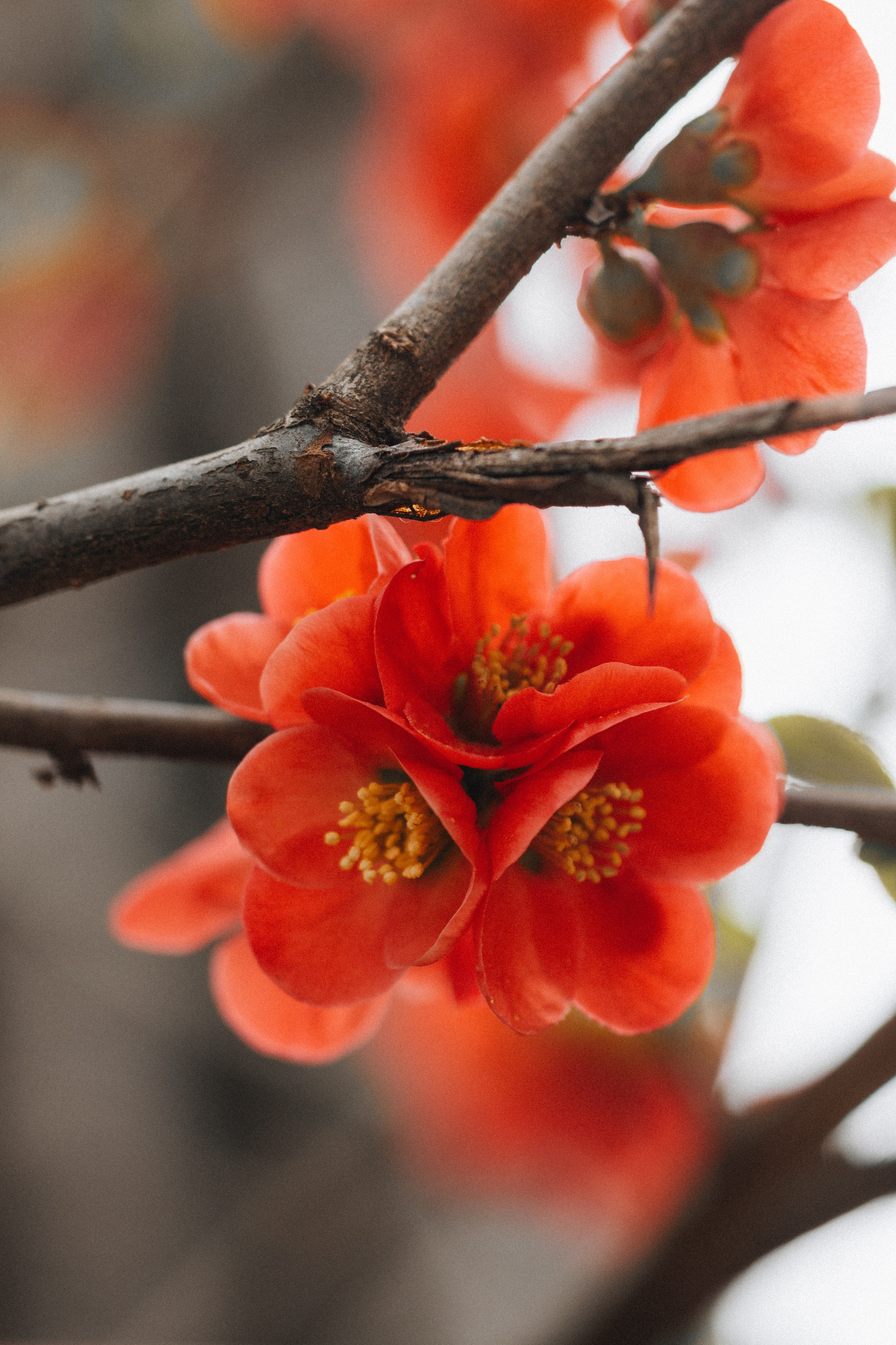 Macro. Фотограф на Юге России