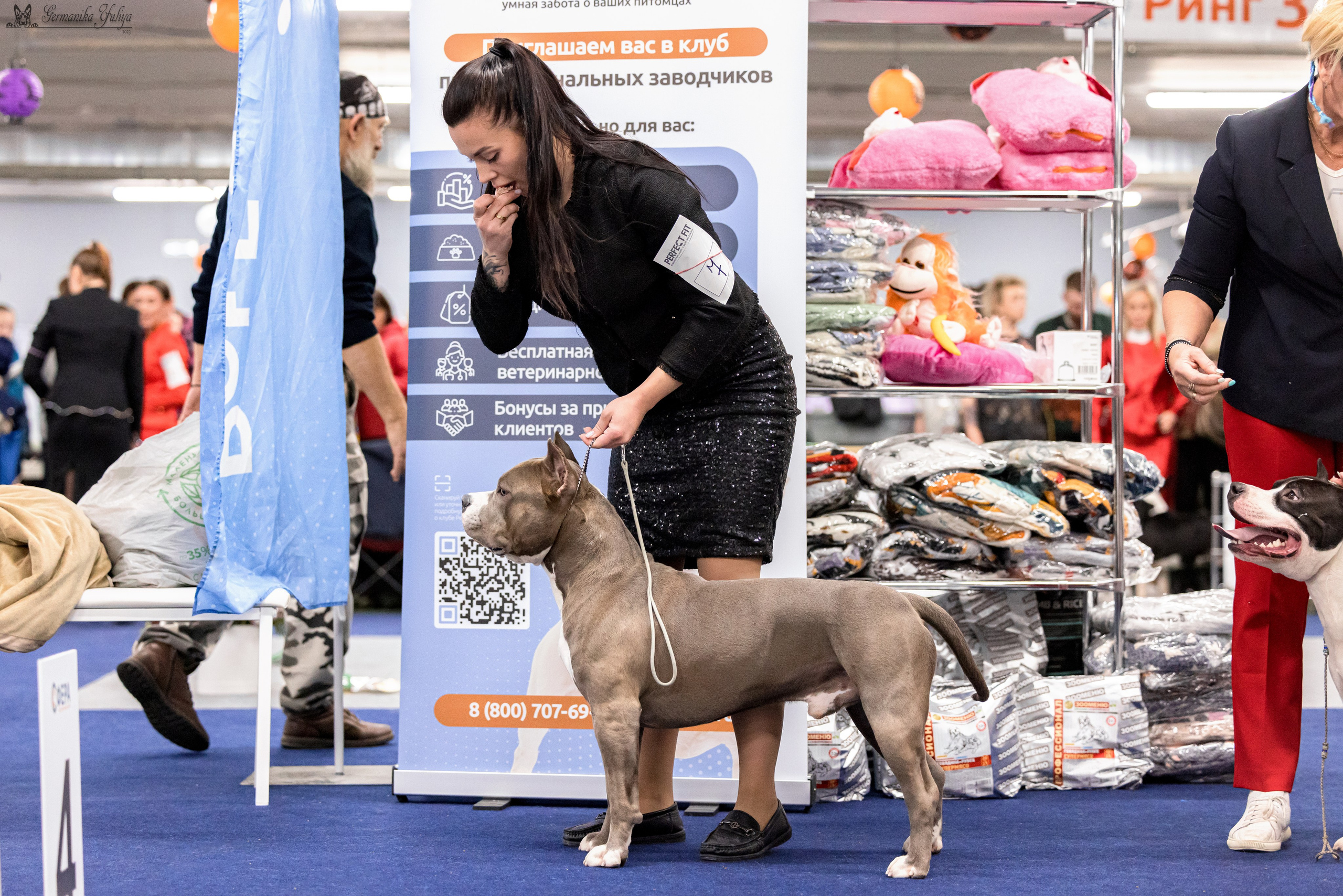 Сфера 29.10,Крокус 4.11,Сфера 12.11.2023. Фотограф-анималист Юлия Германика