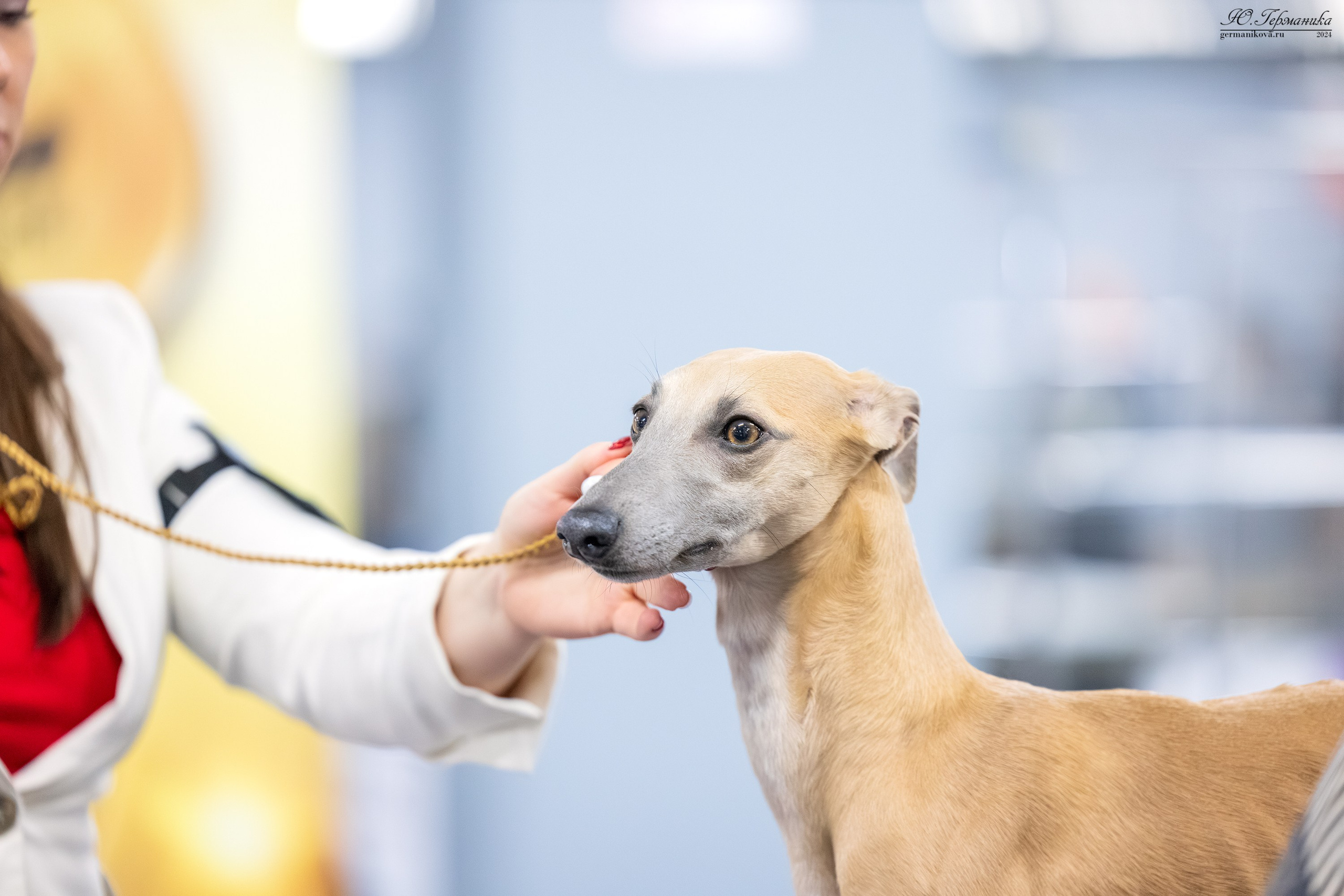 Сфера 17.03.2024. Фотограф-анималист Юлия Германика