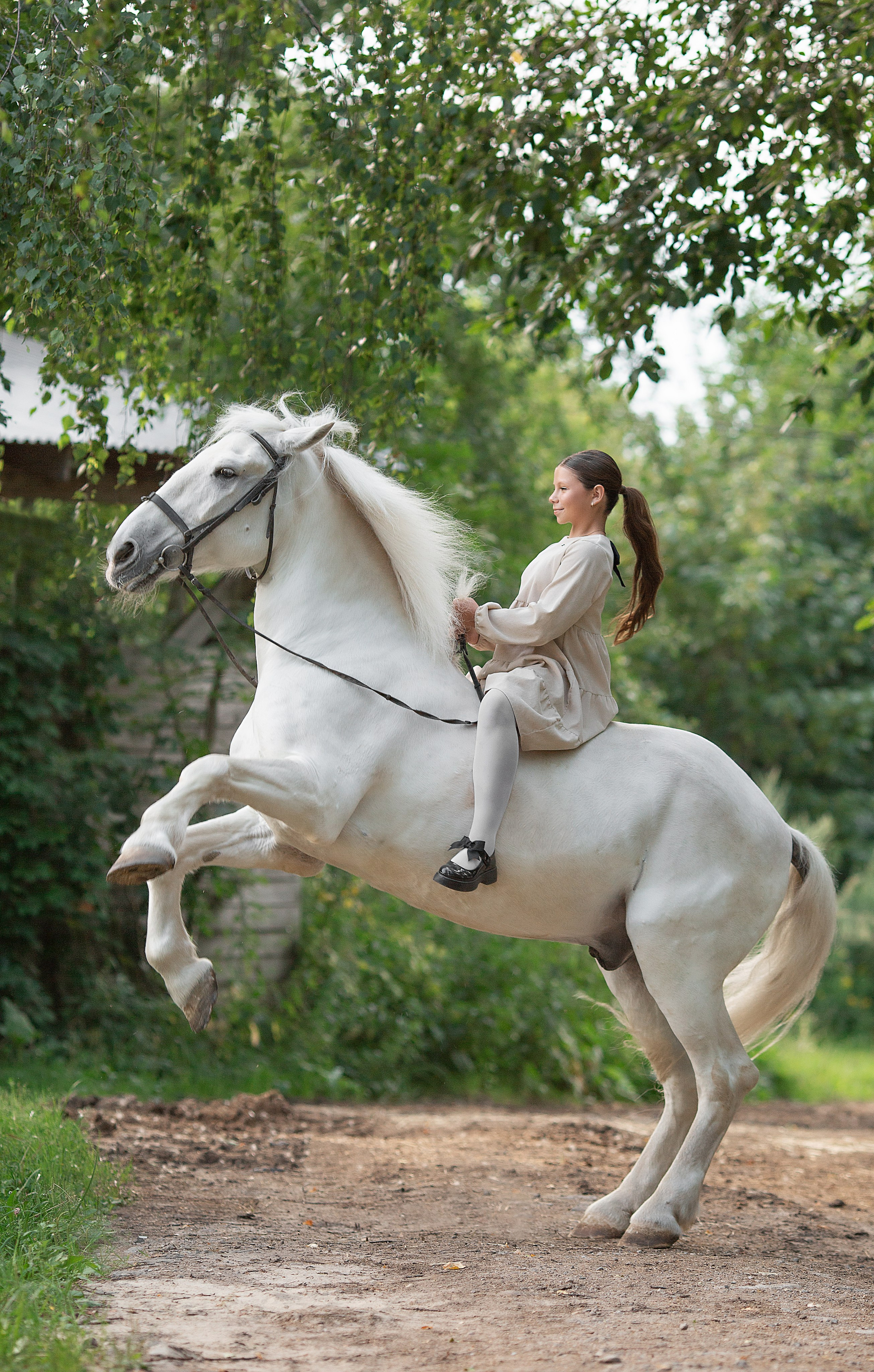 Варвара, Анастасия и Воробушек. Фотосессия с лошадьми в Нижнем Новгороде