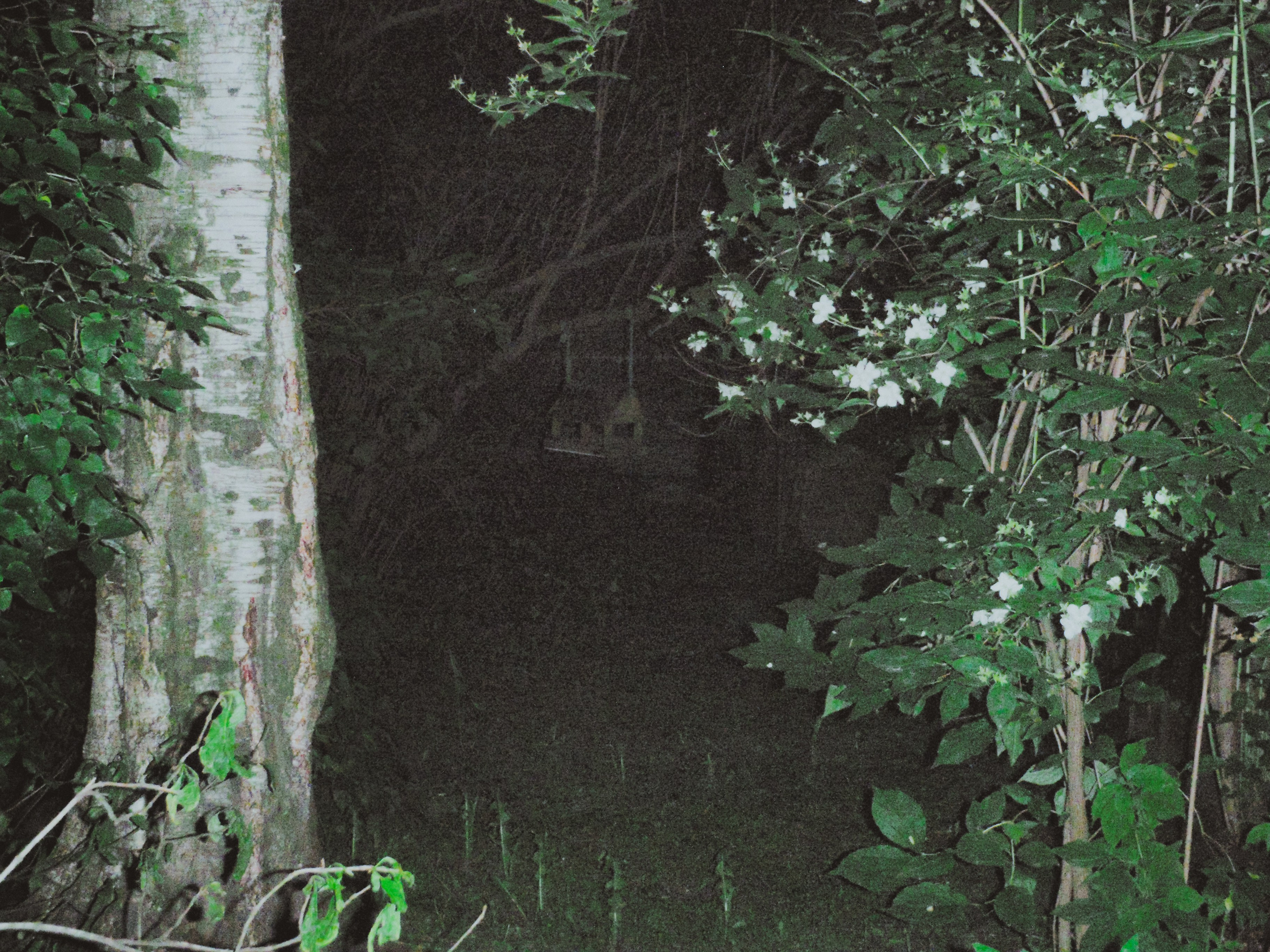 Olimpus mju 1030sw. Анна Мильч