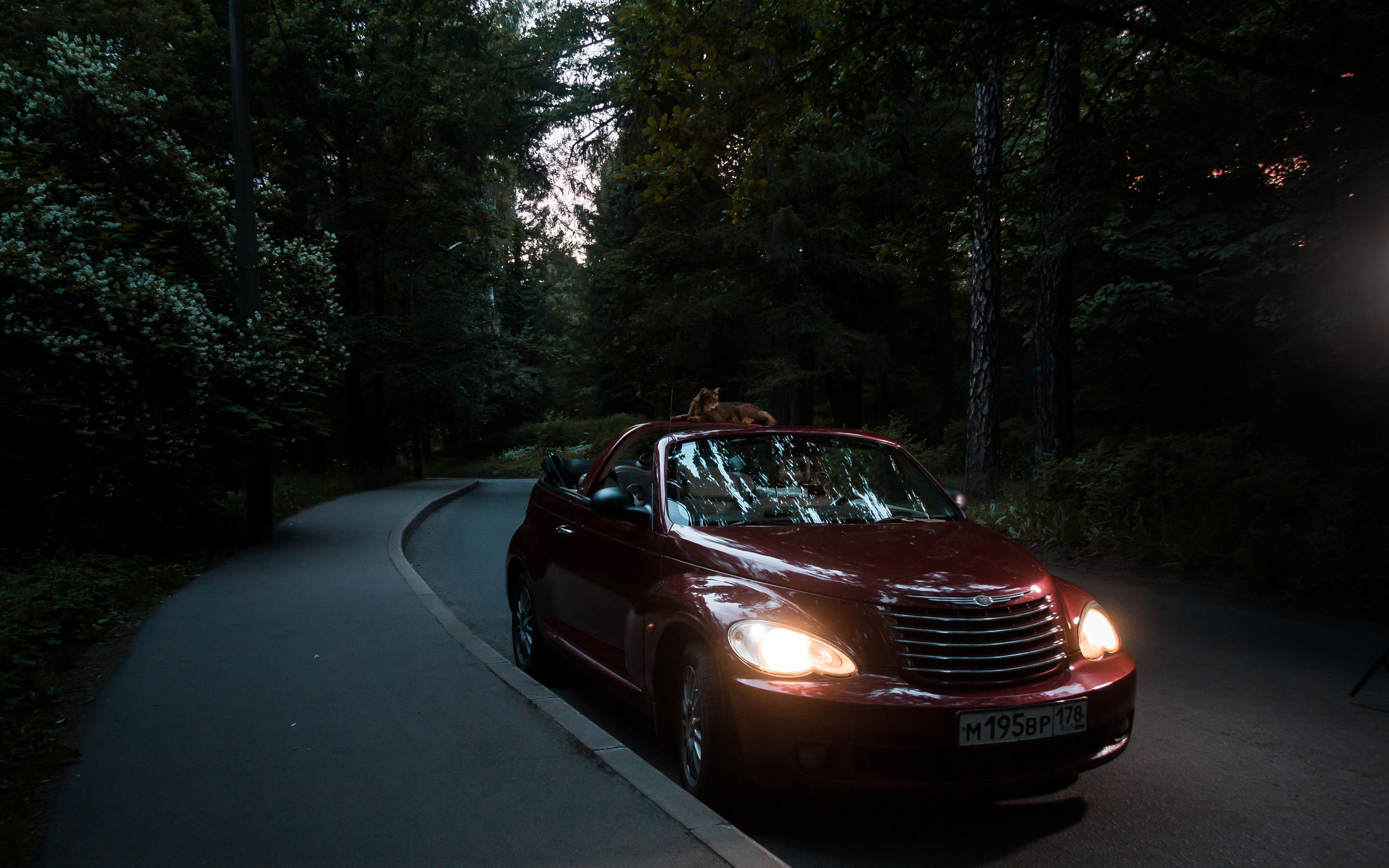 Контент-съёмки для предпринимателей и ремесленников. Профессиональный фотограф в Санкт-Петербурге Александр Волосенцев