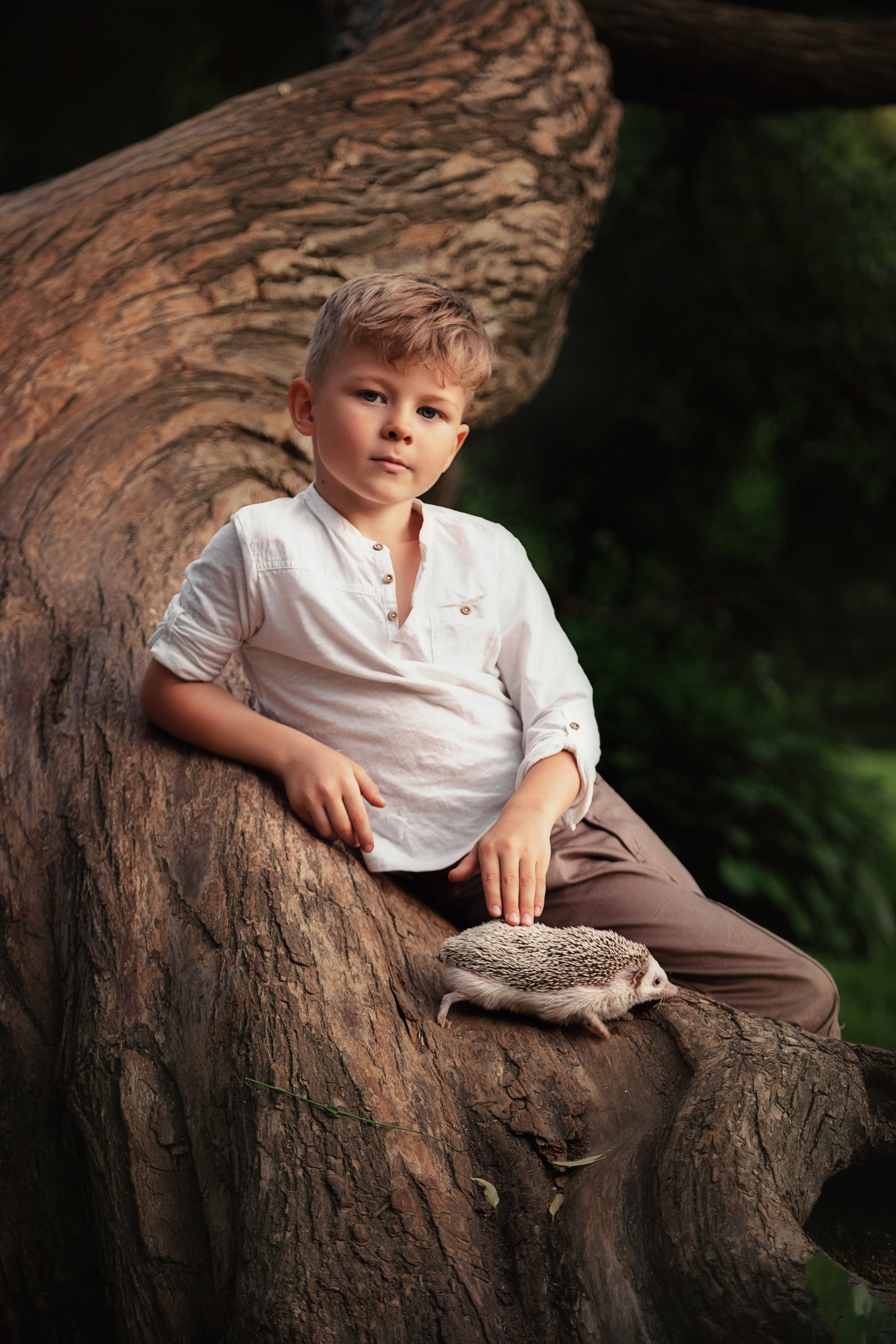 Семейные и детские. Екатерина Хамзина