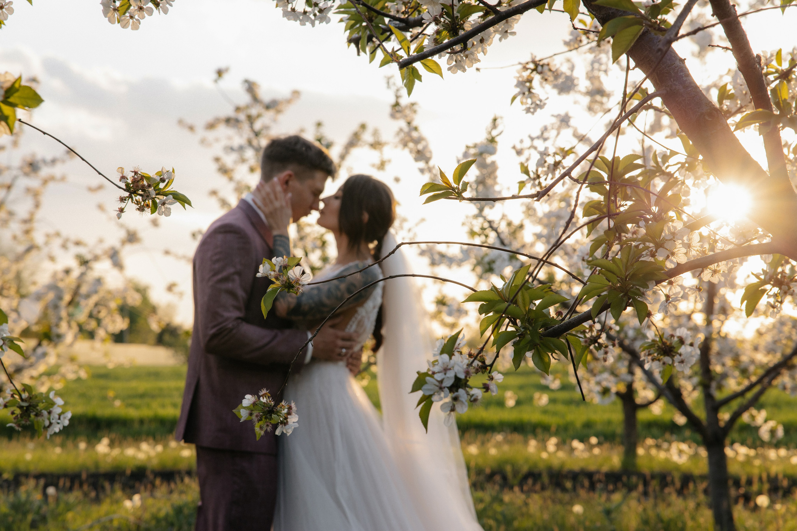 Цветущие сады. Свадебный и семейный фотограф Краснодар, Юлия Потопахина