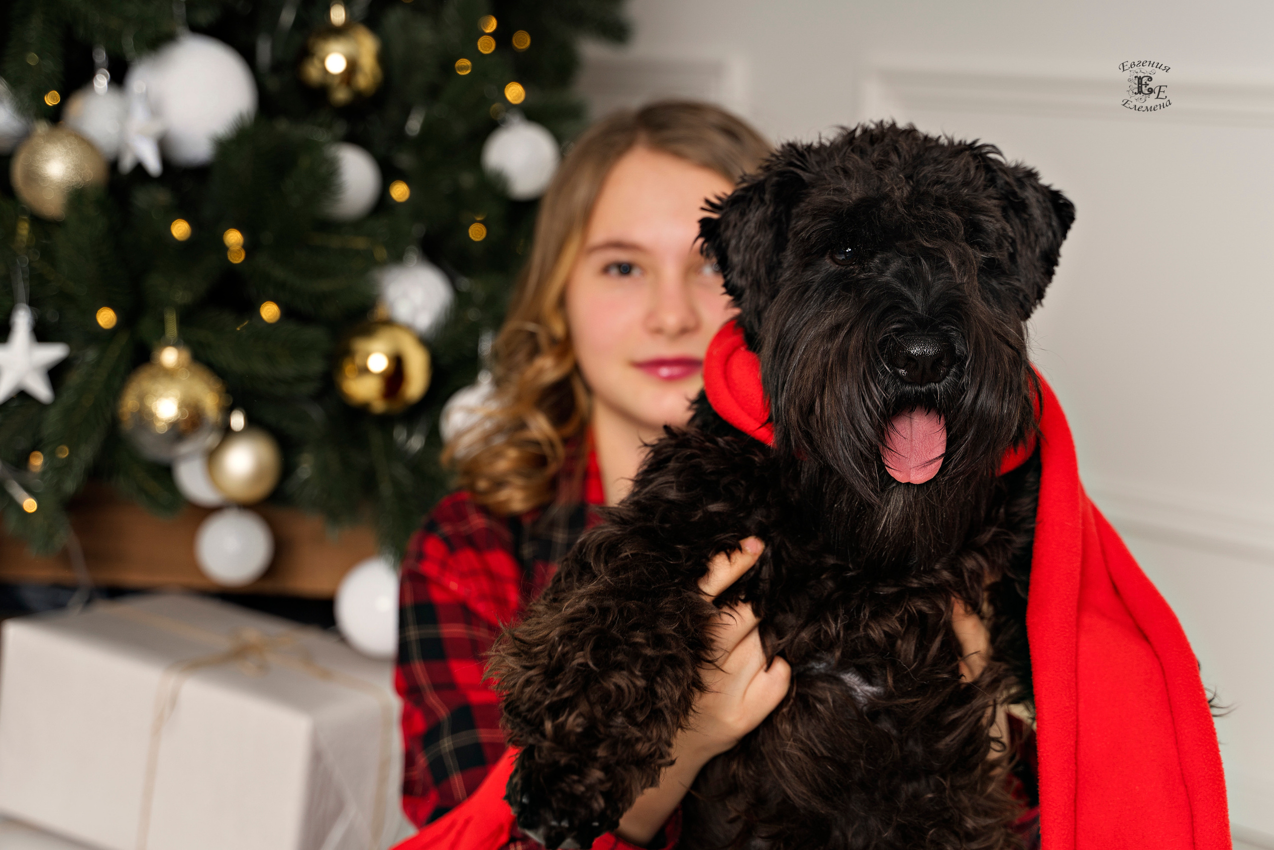 В студийном интерьере. Семейный и портретный фотограф в Санкт-Петербурге Евгения Елемена