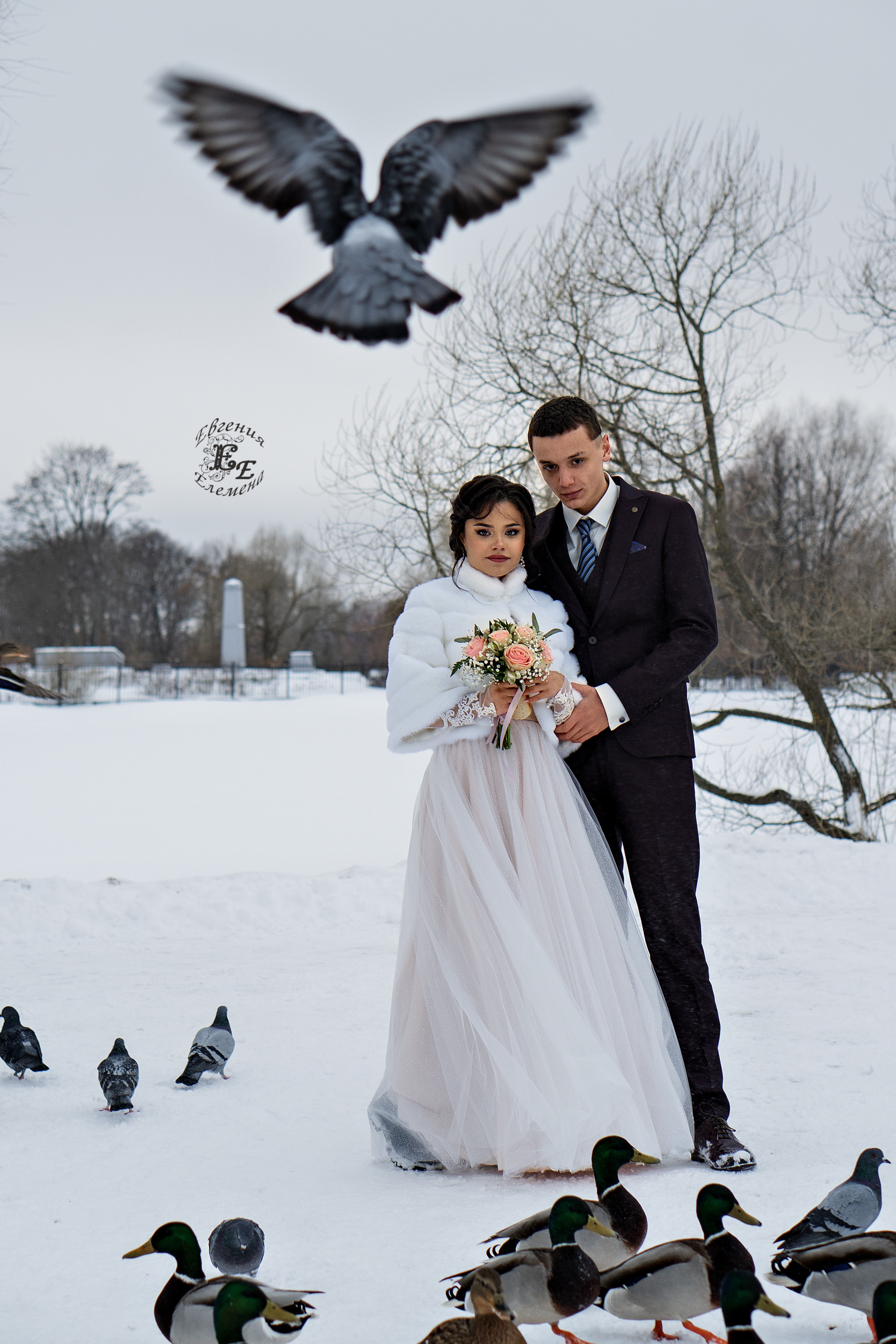 Свадебная съёмка. Семейный и портретный фотограф в Санкт-Петербурге Евгения Елемена