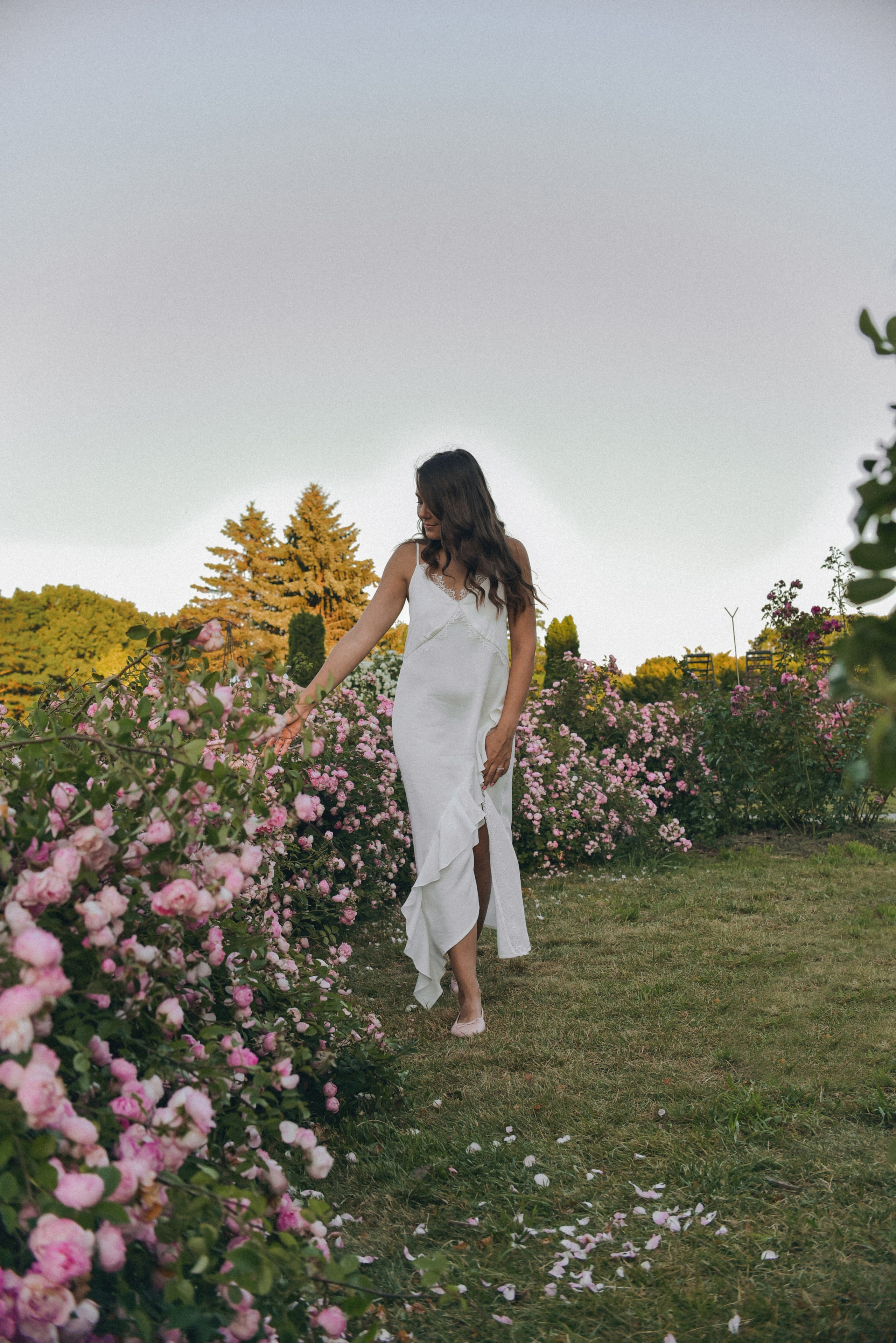 Розовая роща. Семейный фотограф Milena feel it