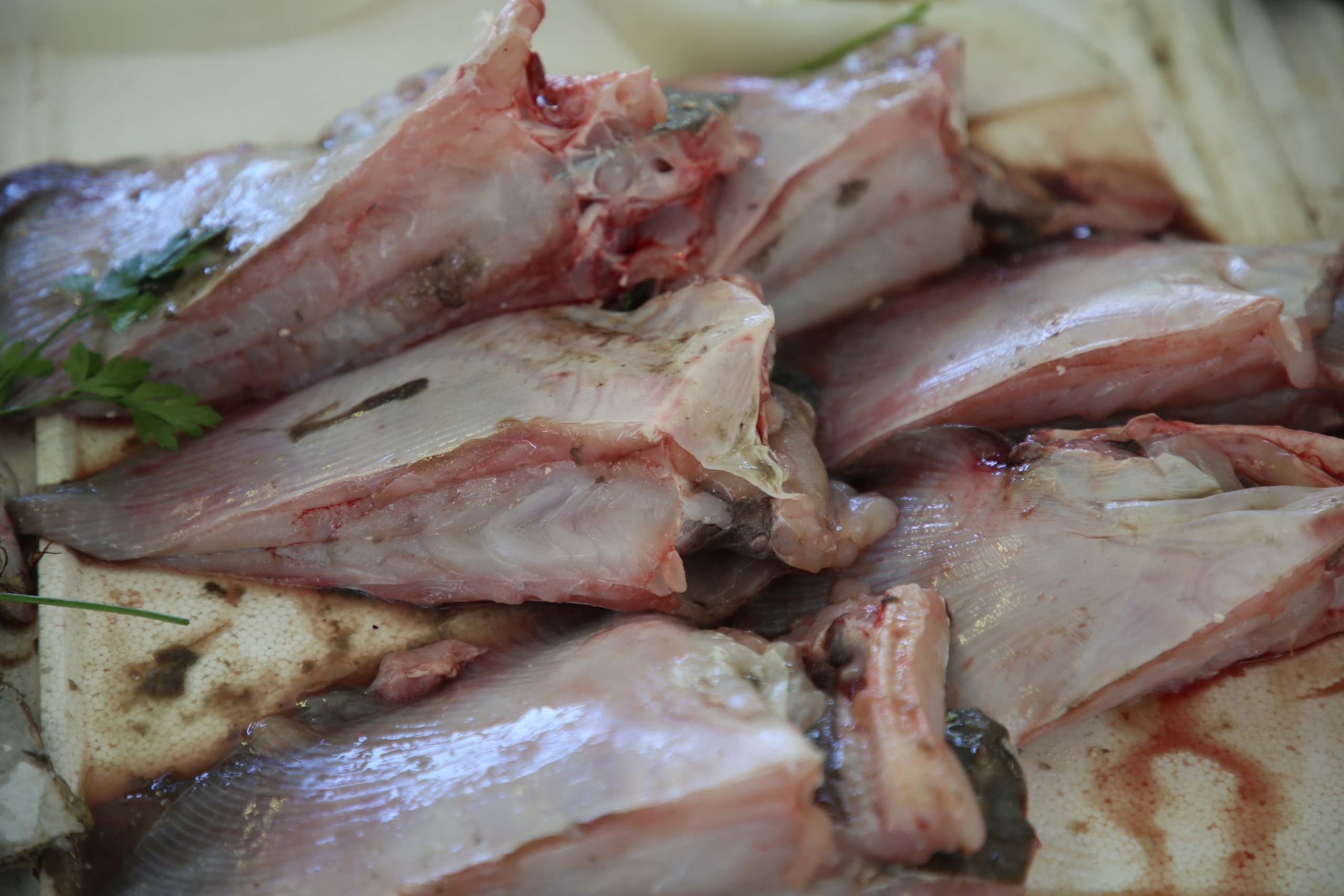 Espihnio, Portugal. Andrey Filippov Photographer