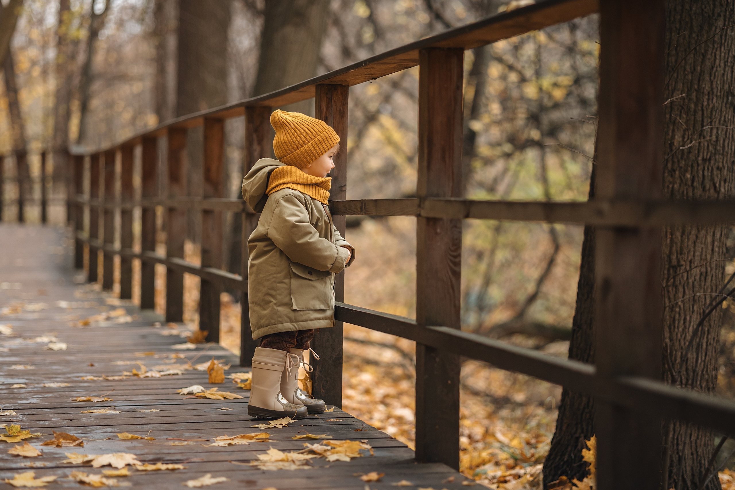 Осень в Нескучном саду (в обработке). Фотограф Анималист в Москве Анастасия Жучкова