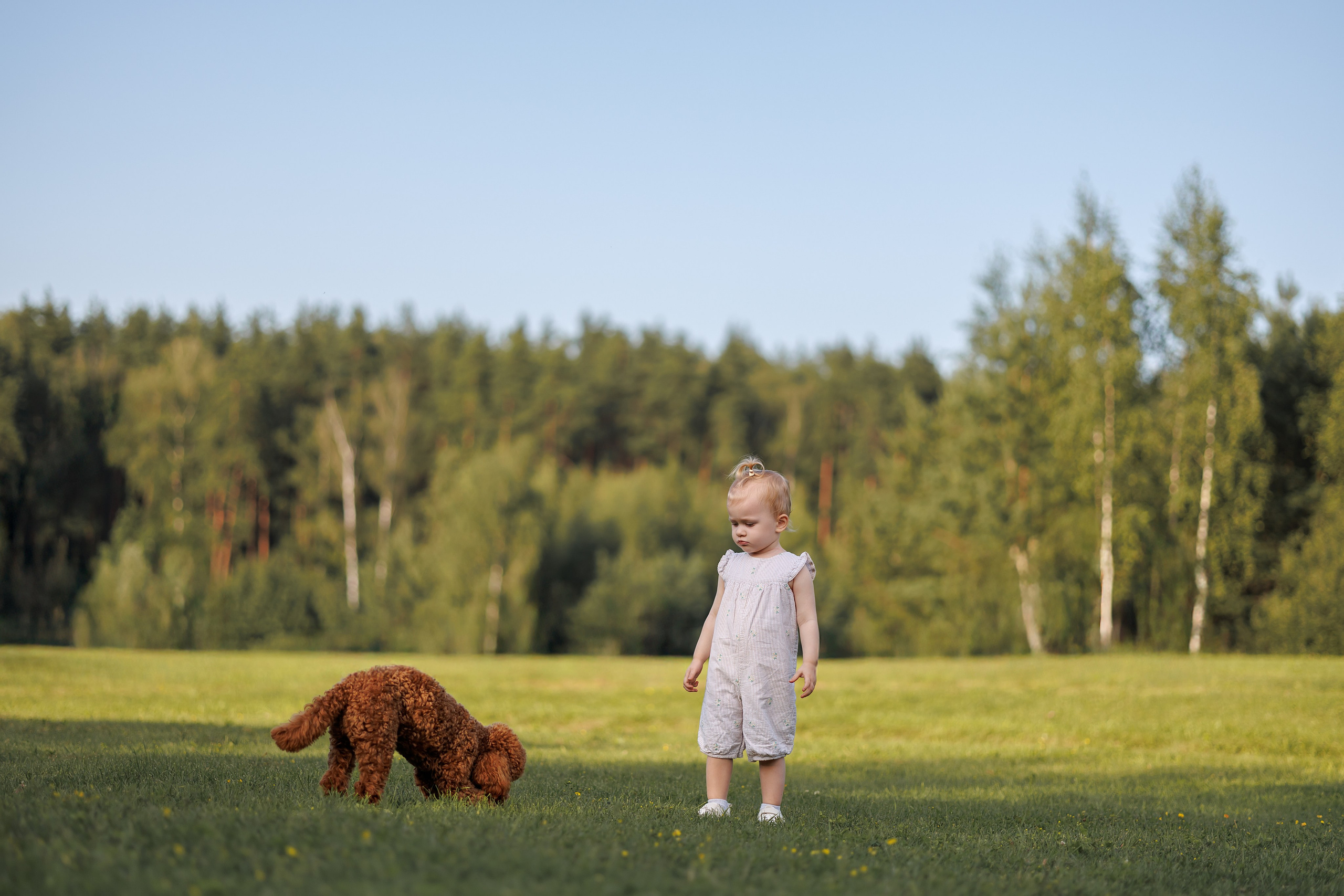Алина и Лариса. Фотограф Анималист в Москве Анастасия Жучкова