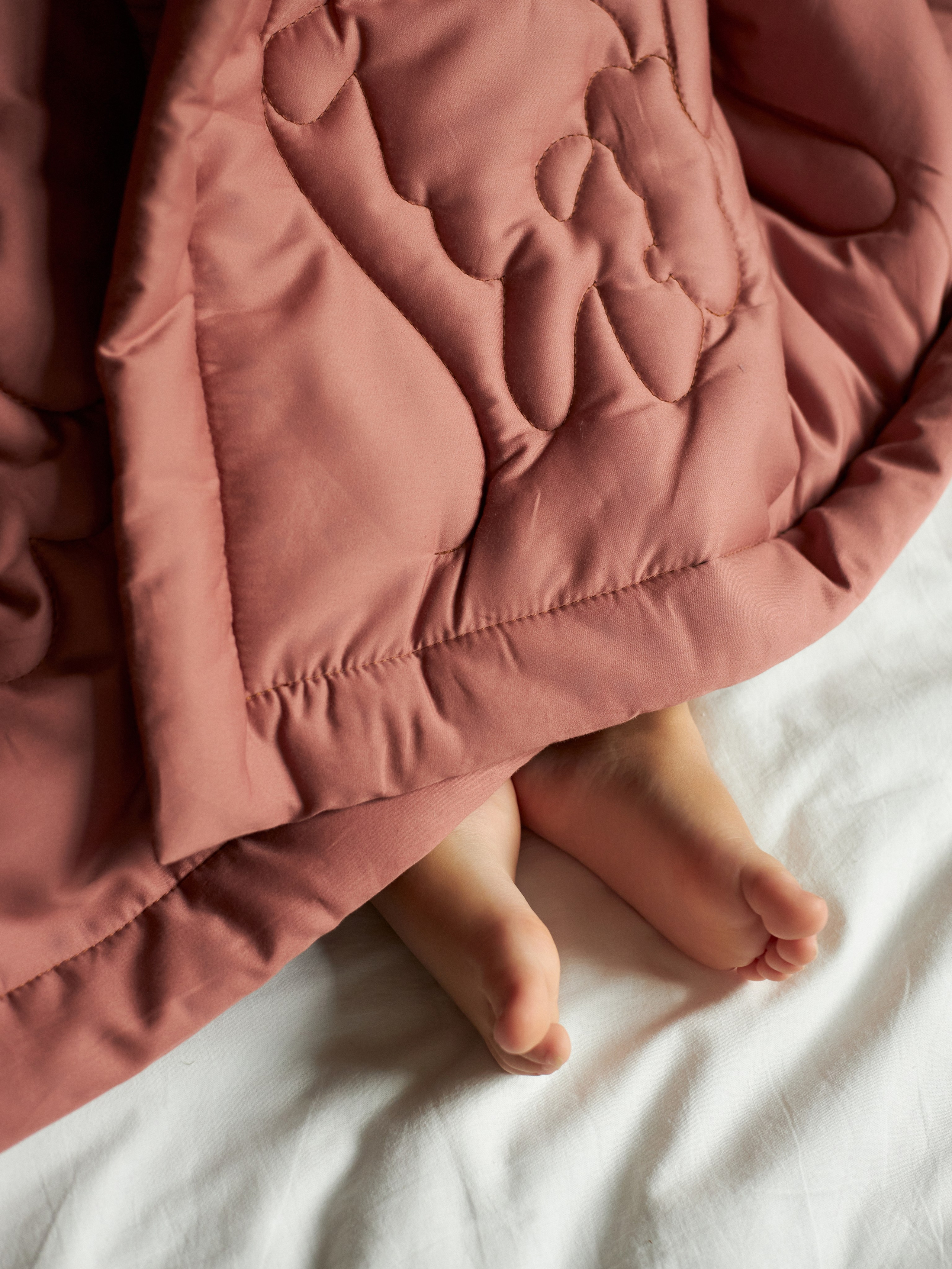 Предметная фотосъемка. Фотостудия Домодедово — Lumi Studio