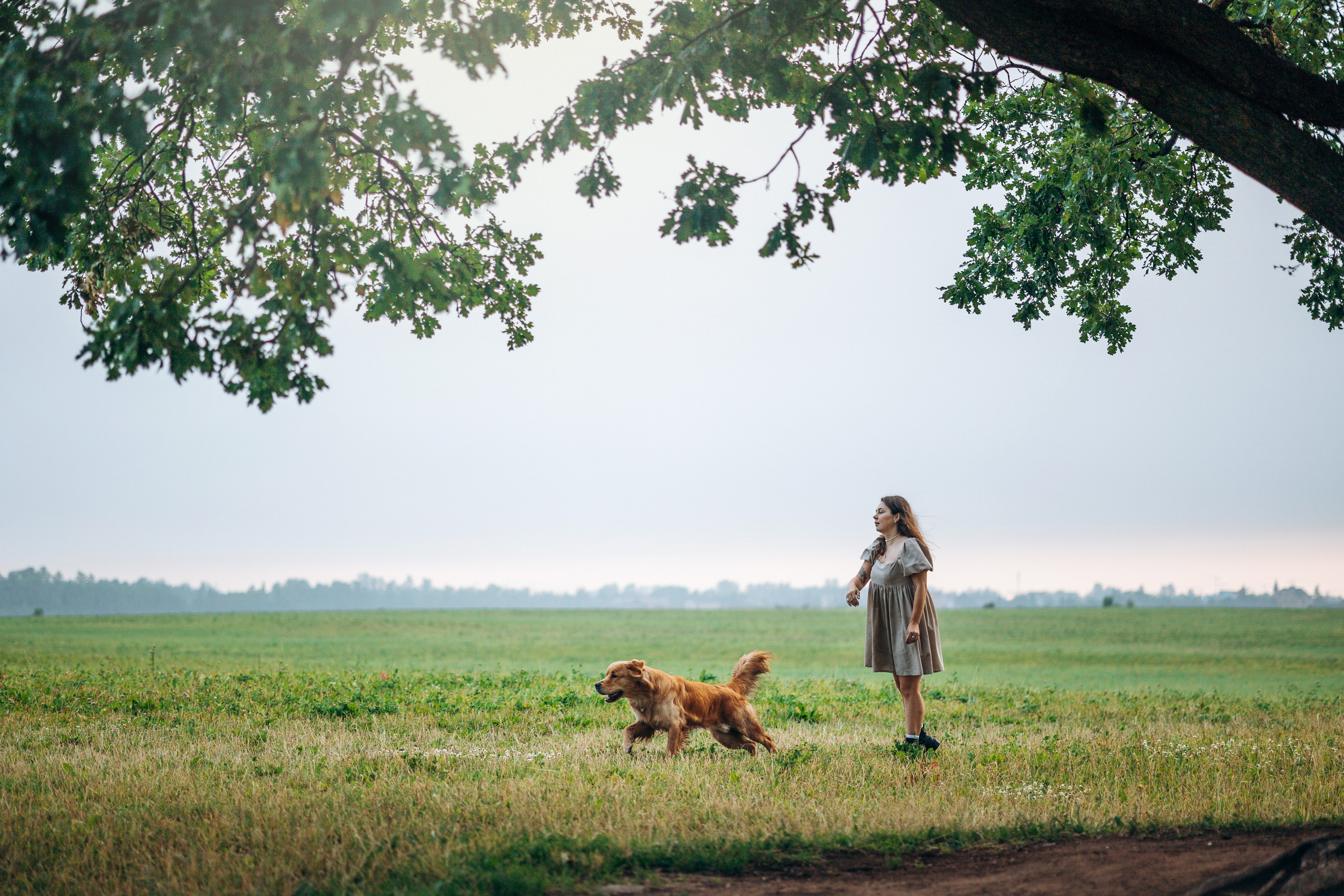 Аня и Ноллан. Фотограф — Анималист | Санкт-Петербург