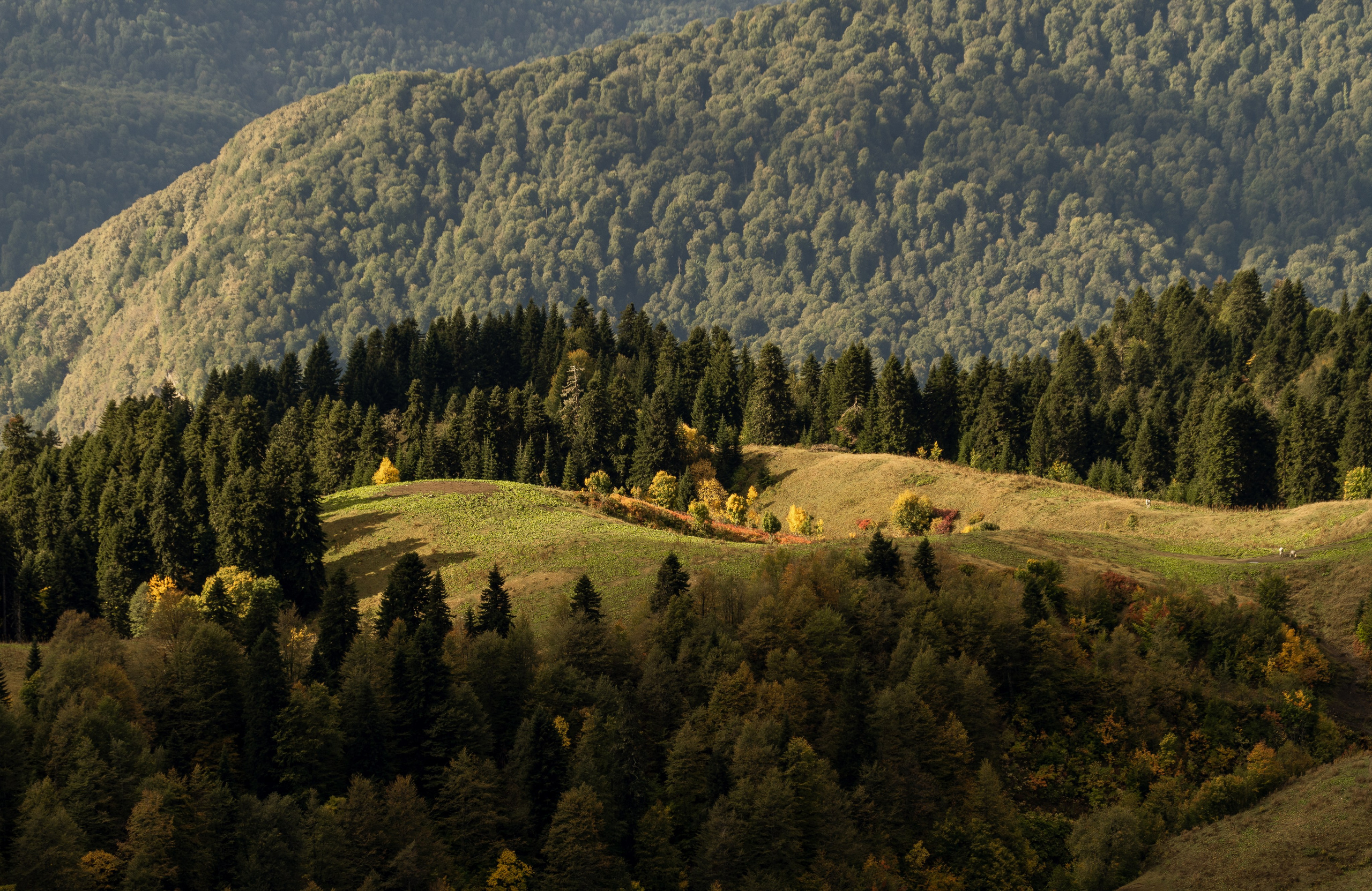 Путешествия и пейзаж. Репортажный фотограф в Красной Поляне и Сочи Павлюченко Екатерина