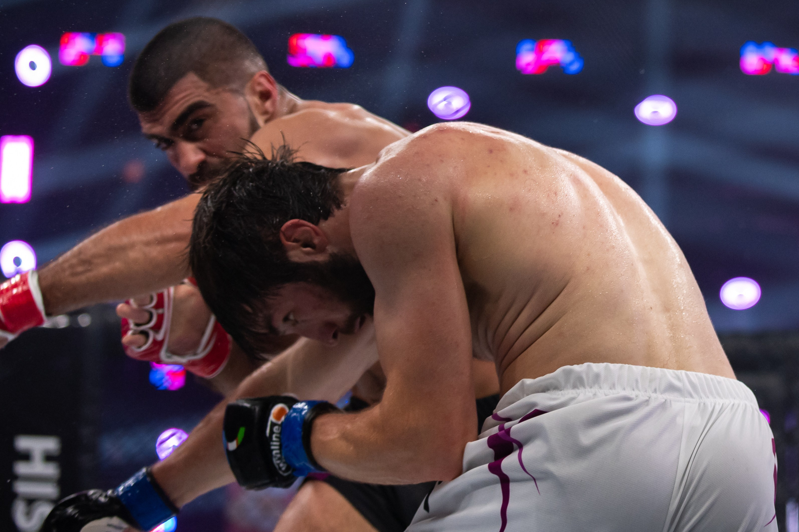 Бои. Репортажный фотограф в Красной Поляне и Сочи Павлюченко Екатерина