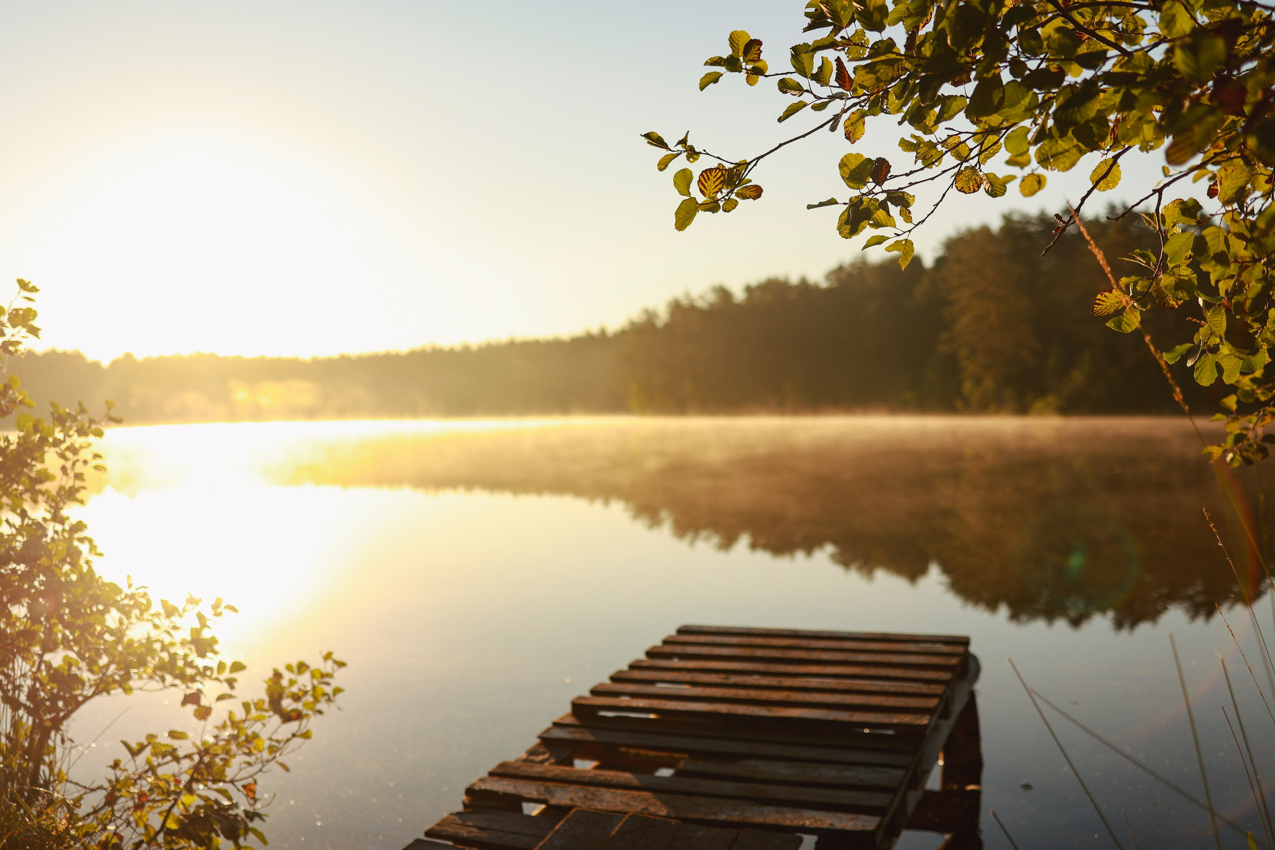 Фестиваль Hello Camper закрытие 2024. Репортажный и портретный фотограф в Санктпетербурге. Видиосъемка мероприятий в Санкт-Петербурге