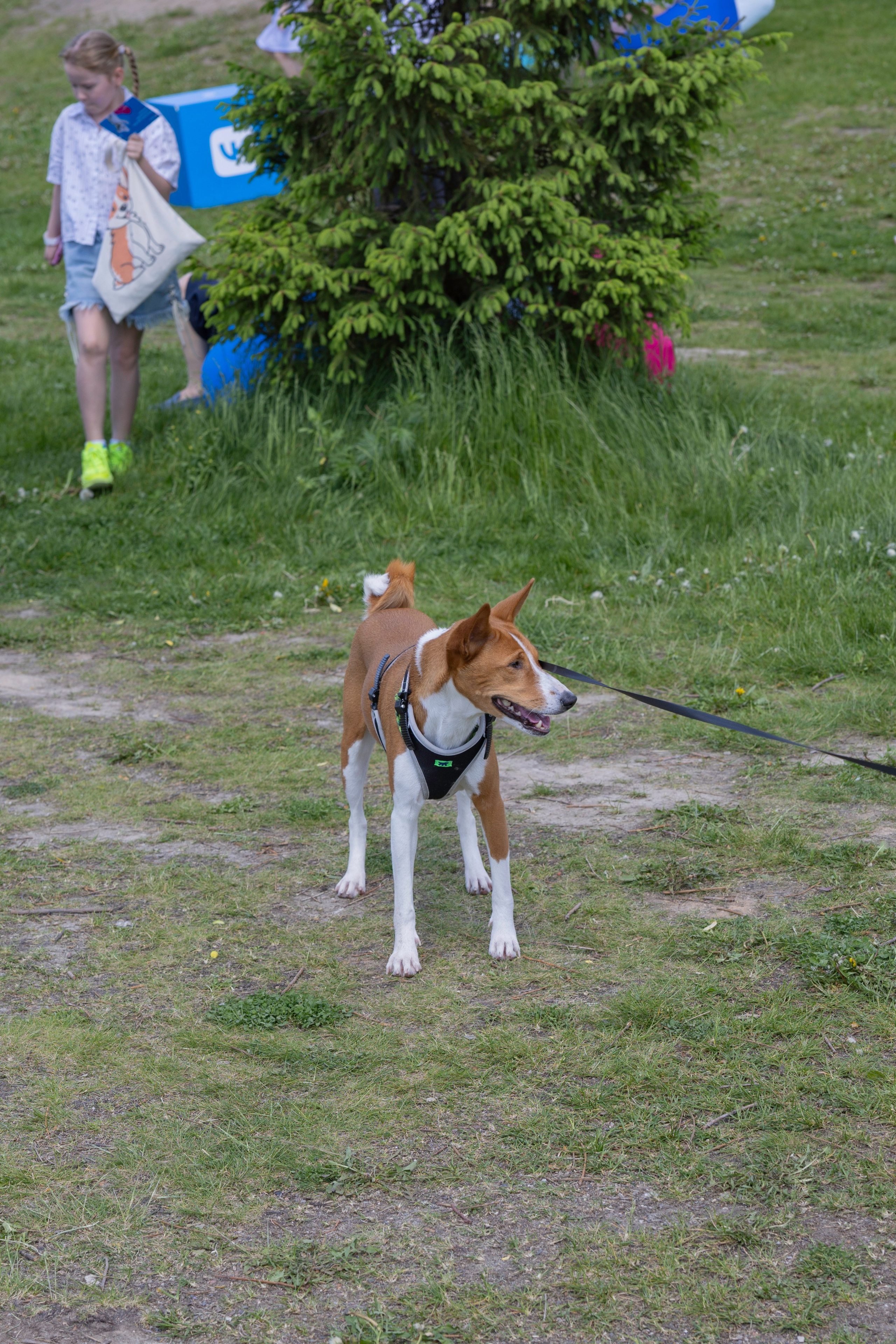 «ЛапкиФест». Фотограф, получающий удовольствие от своей работы