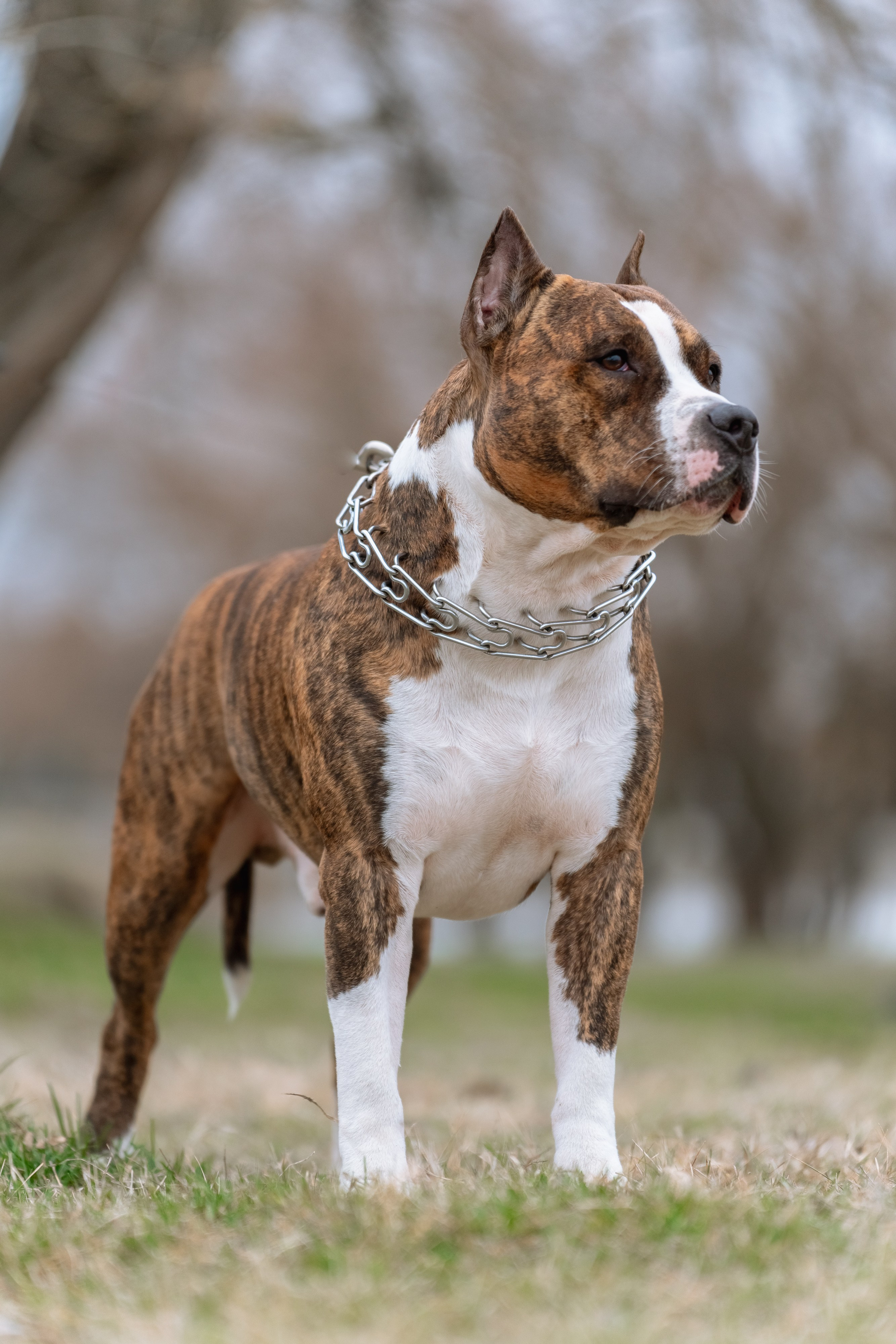 Фотопрогулка. Фотограф г. Славянск-на-Кубани