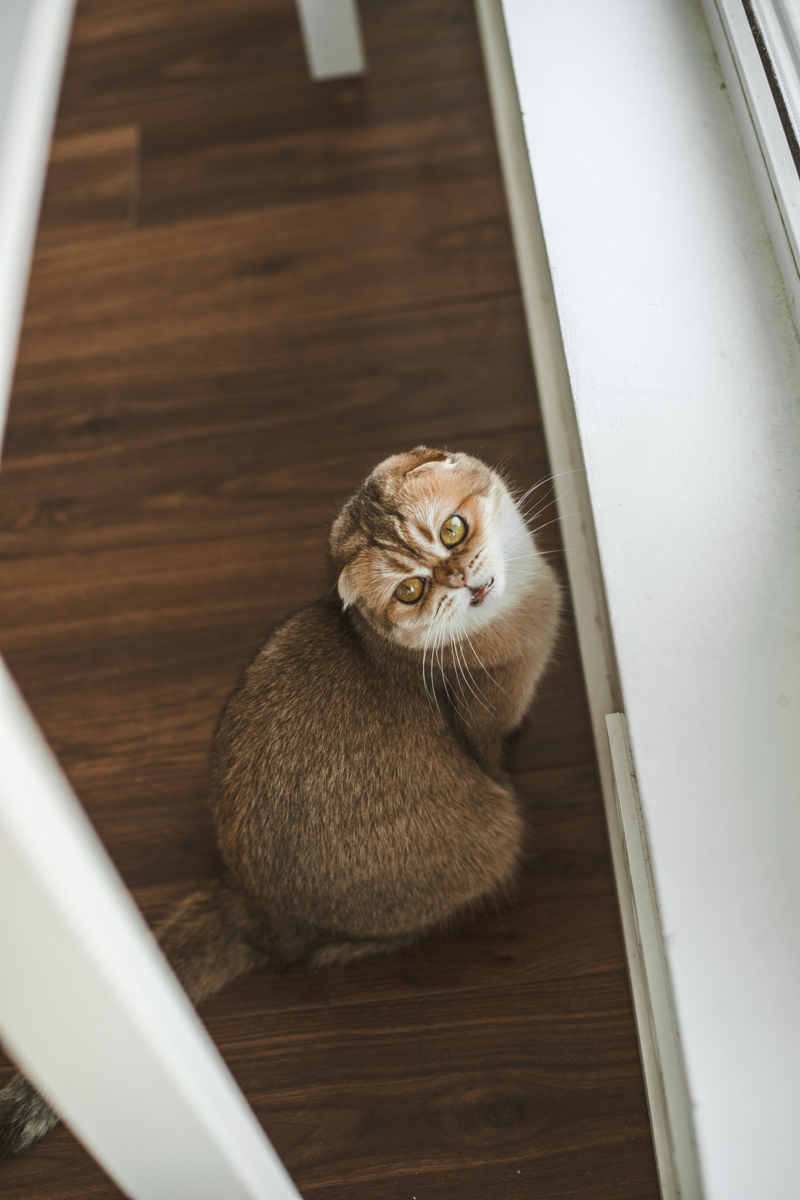 Когда в семье появился ещё один человечек…)) <3. Фотограф Сочи, Адлер, Красная Поляна — Вероника Радченко