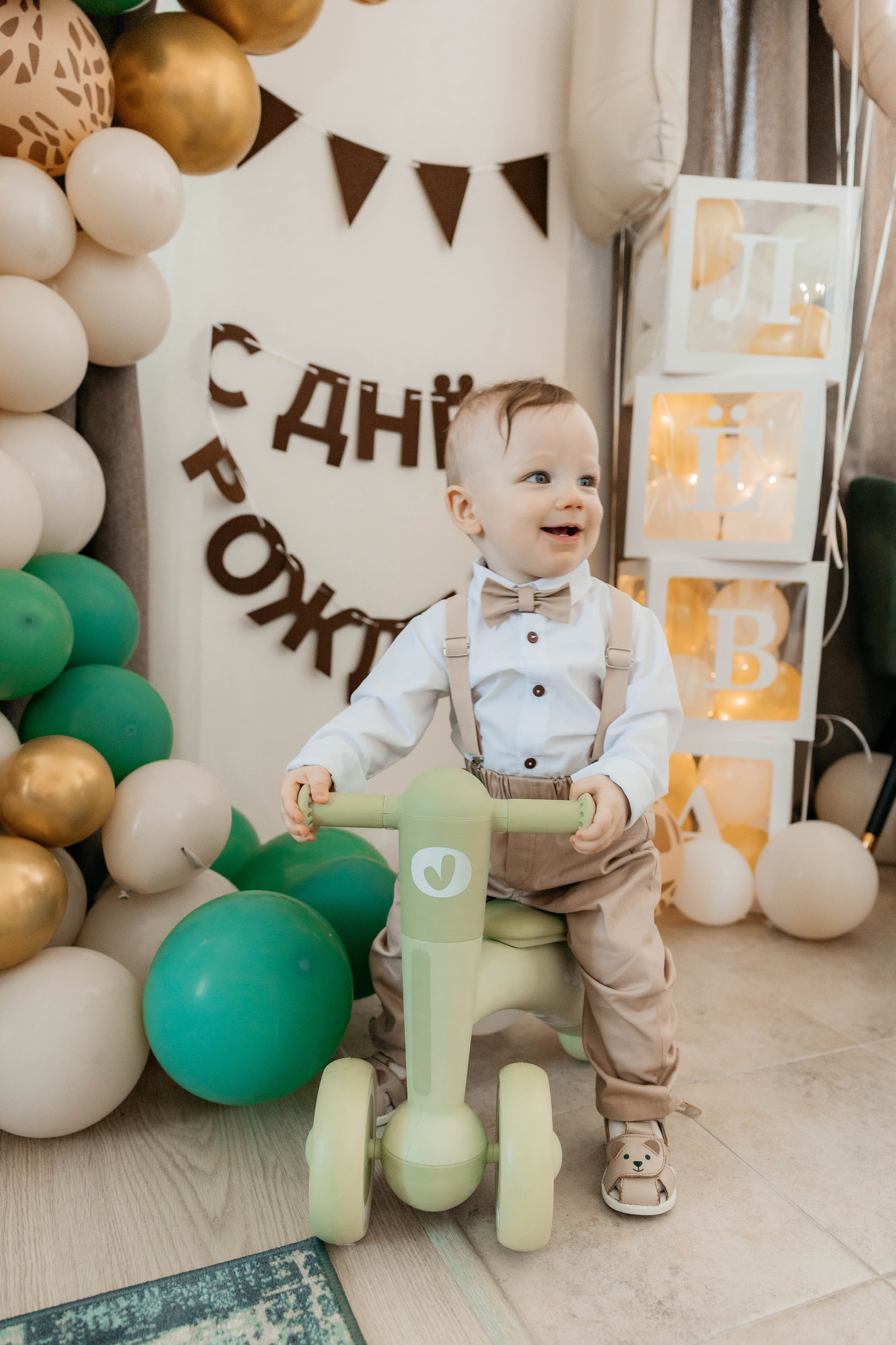 Лев. 2024 г. Персональный фотограф Катерина Литвинова