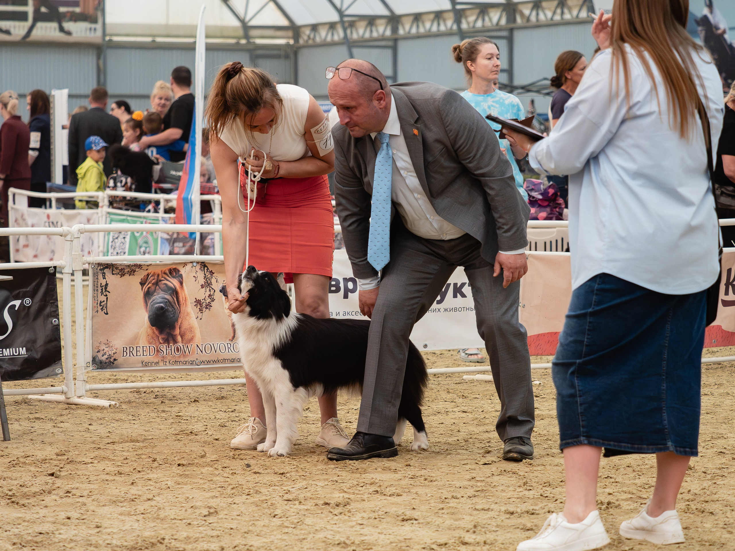 Репортажная съемка выставок. Фотограф анималист Тюгаева Мария