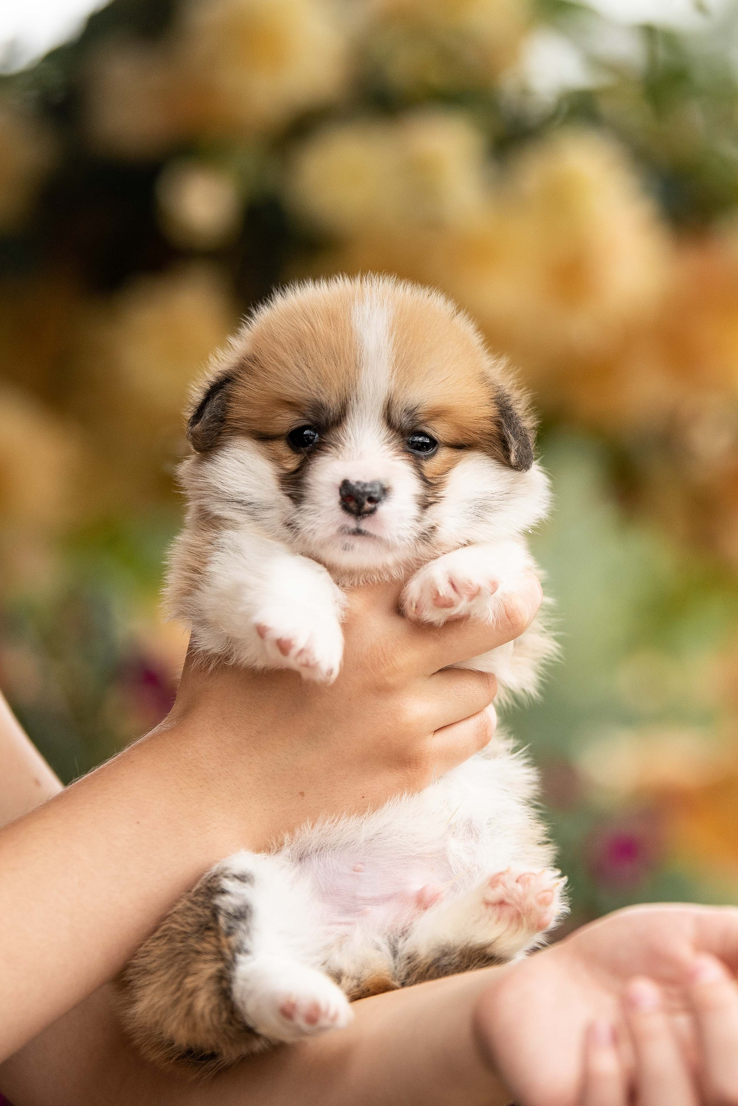 Можно ли быть милее…. Семейный фотограф в Санкт-Петербурге Ирина Мороз