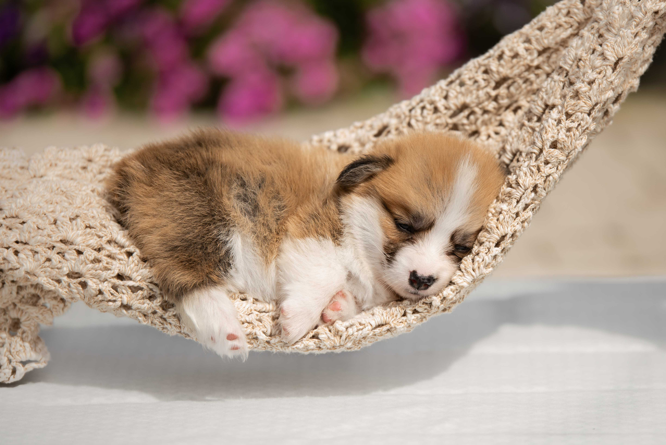 Можно ли быть милее…. Семейный фотограф в Санкт-Петербурге Ирина Мороз