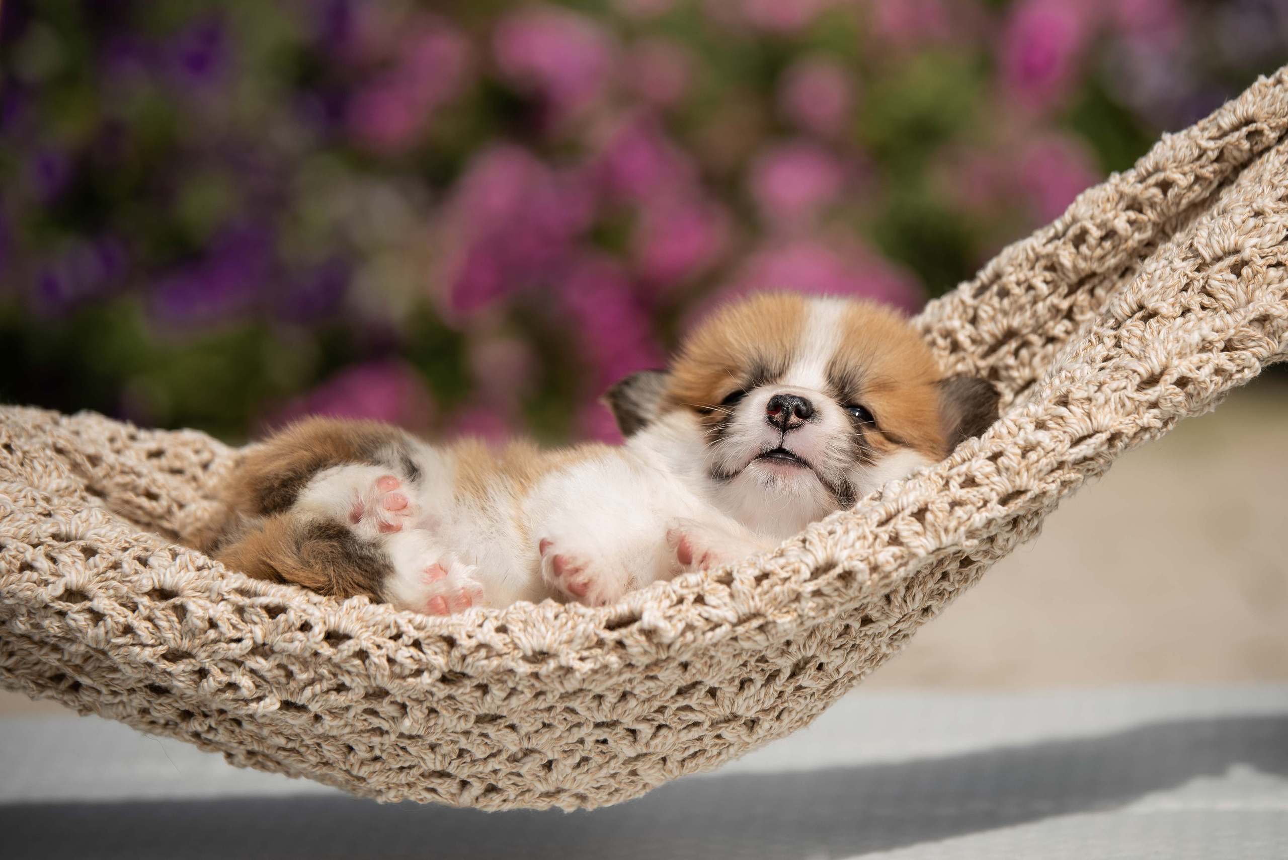 Можно ли быть милее…. Семейный фотограф в Санкт-Петербурге Ирина Мороз