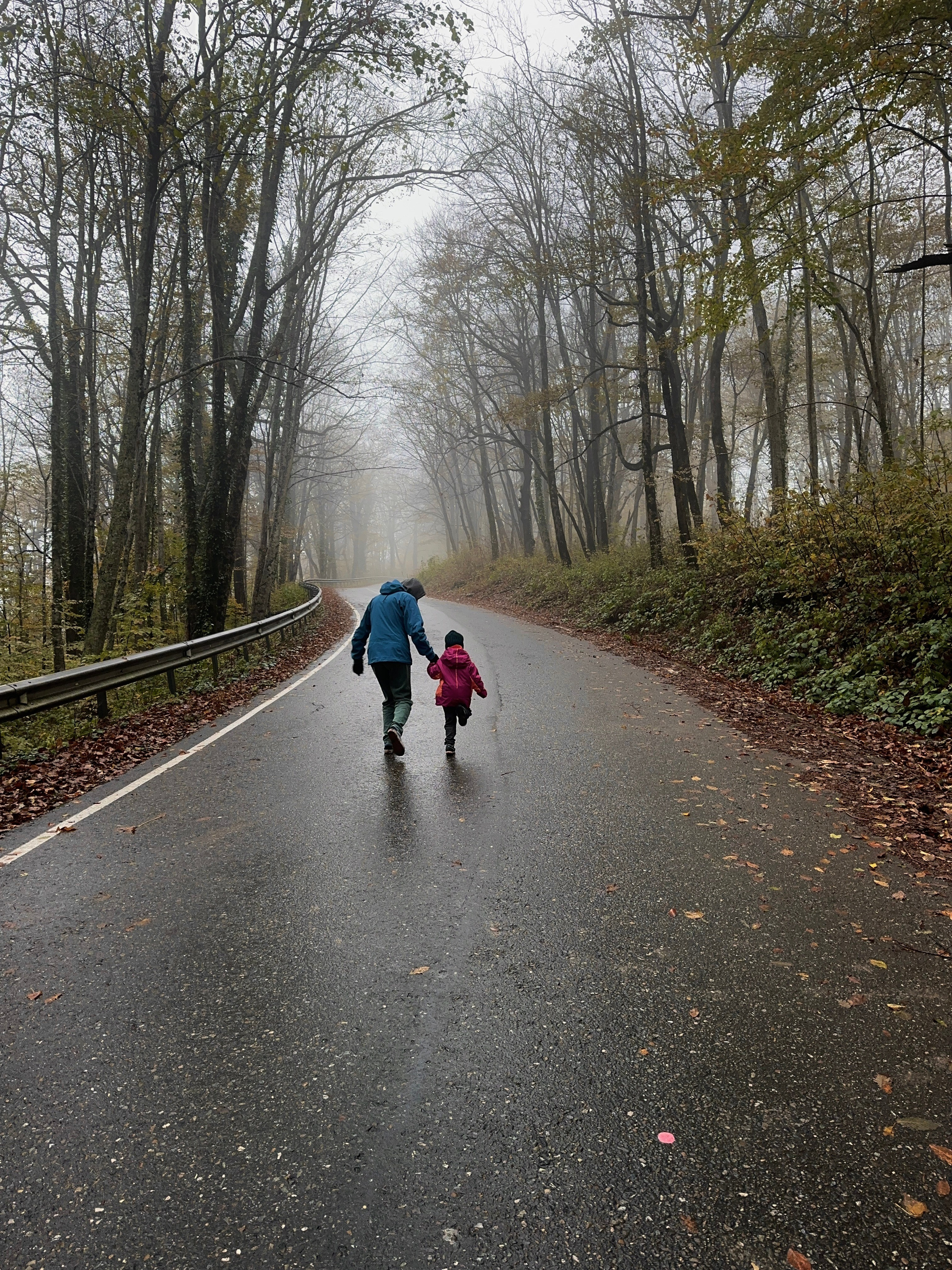 Дети. Смотри, красота!
