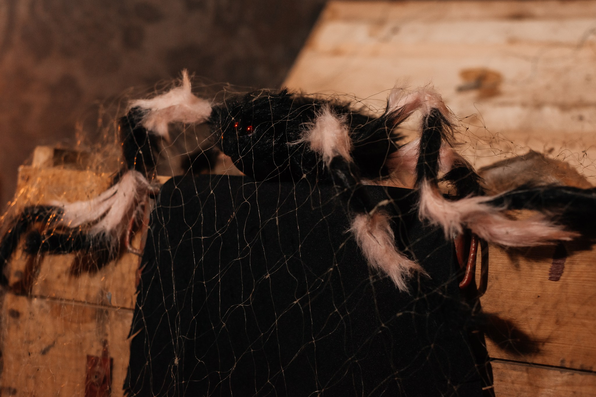 Halloween party в кальянной HookahPlace. Профессиональный пейзажный фотограф Новокрещенов Станислав