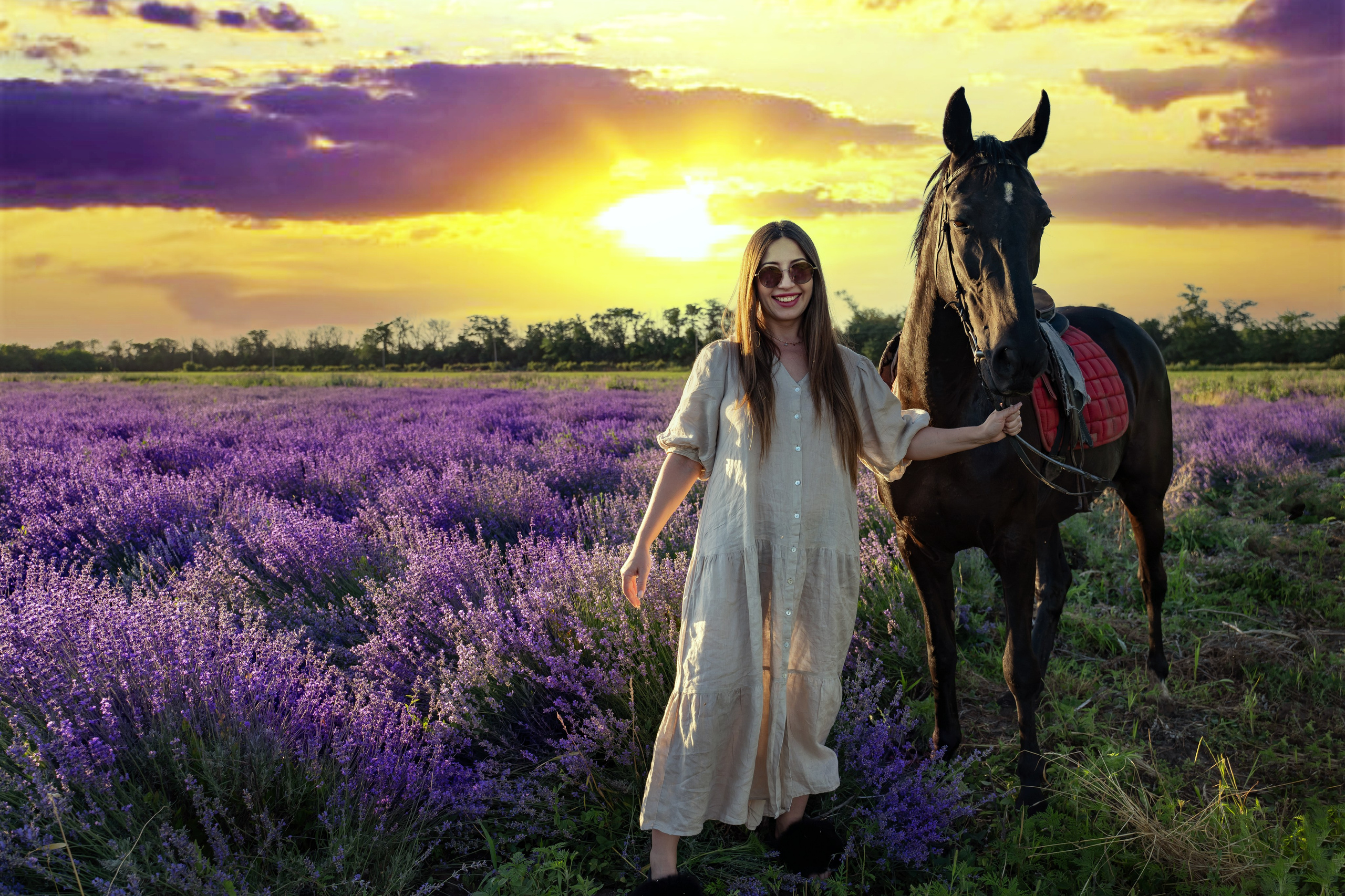 Лаванда. Главная