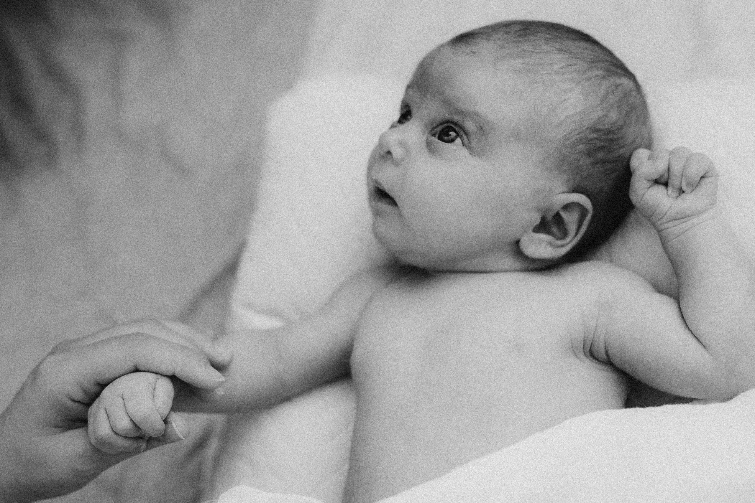 Séance newborn Sasha. Photographe des familles et enfants à Nantes et alentours