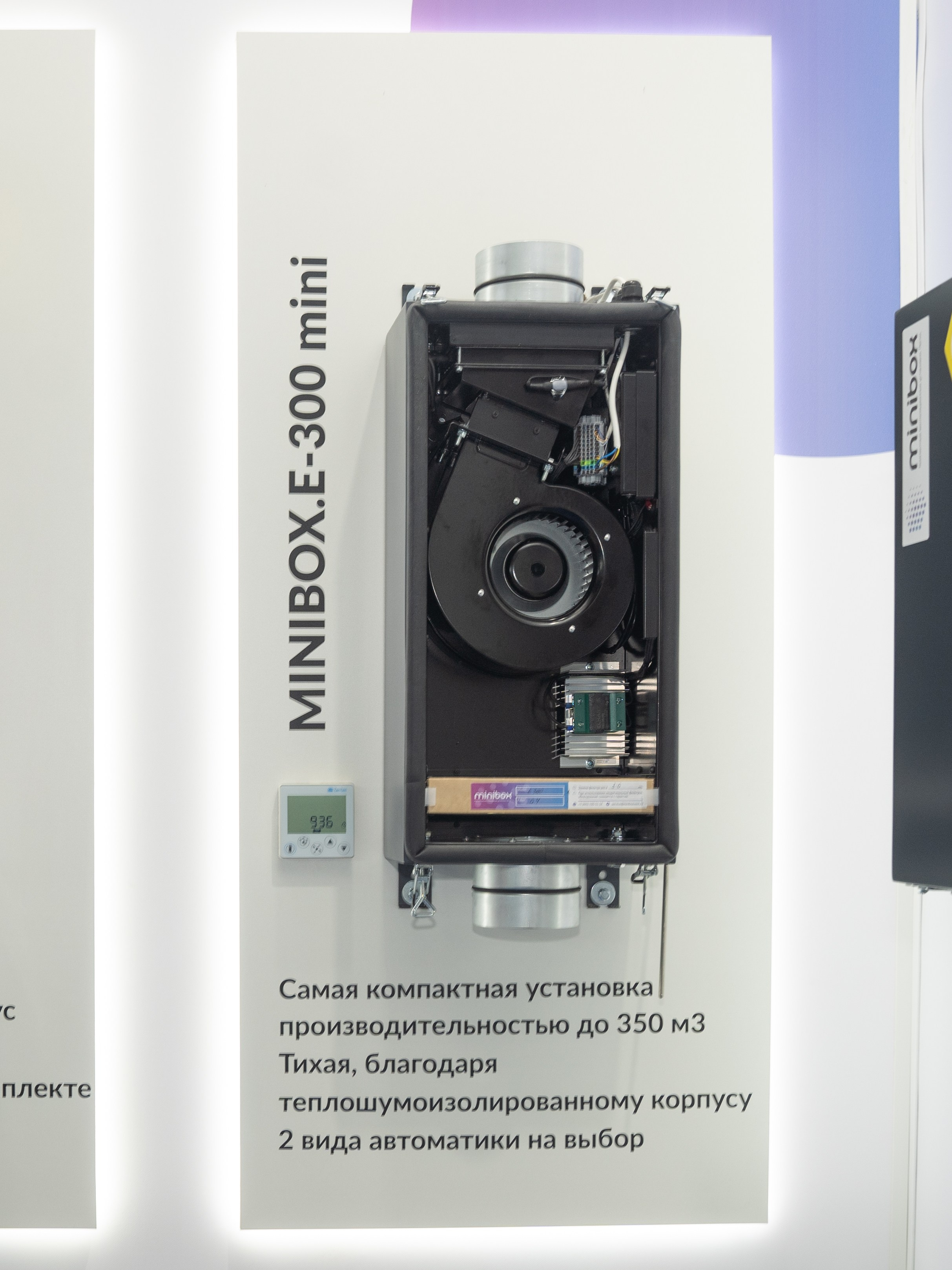 Крокус Вентиляция. Фотограф Зинаида Евдокимова