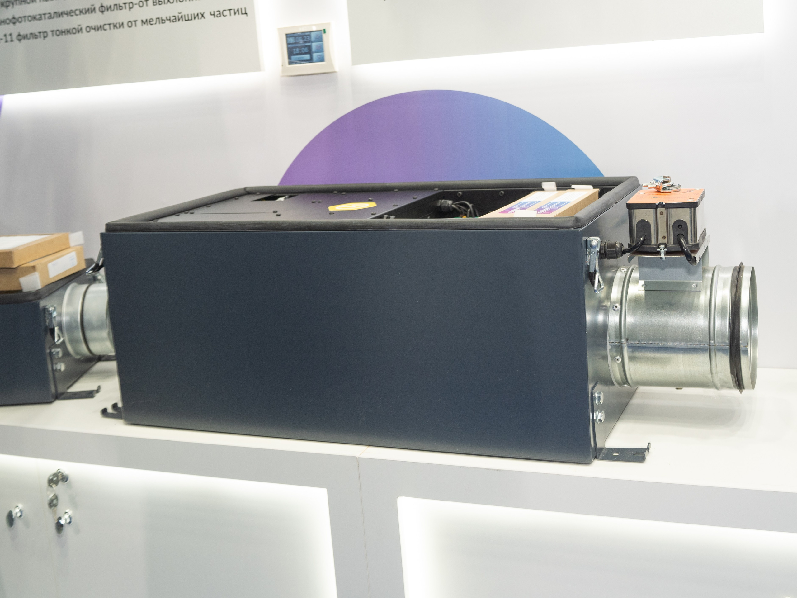 Крокус Вентиляция. Фотограф Зинаида Евдокимова