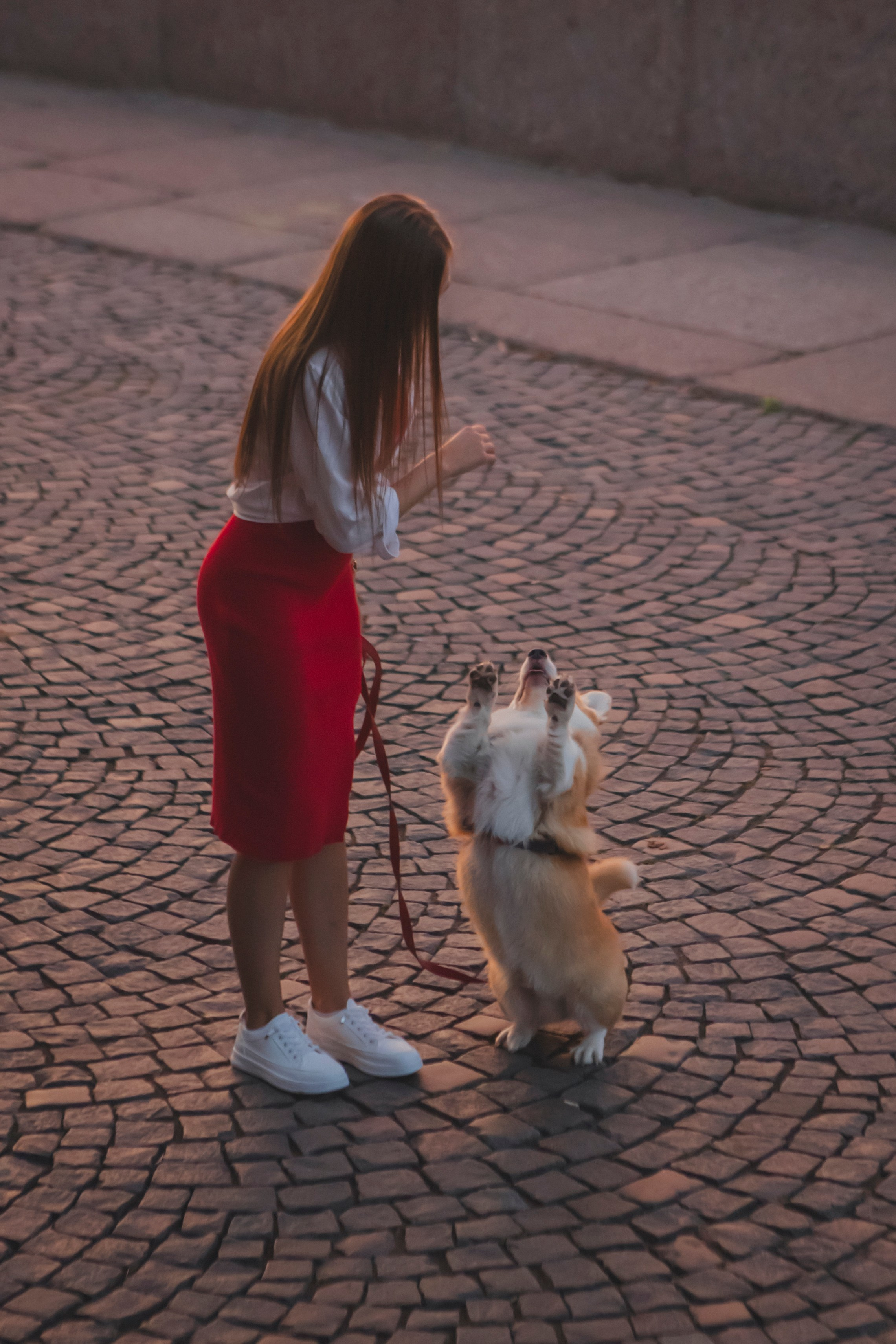 Настя и Стёпа. Фотограф-анималист в Санкт-Петербурге Алина Яхонт