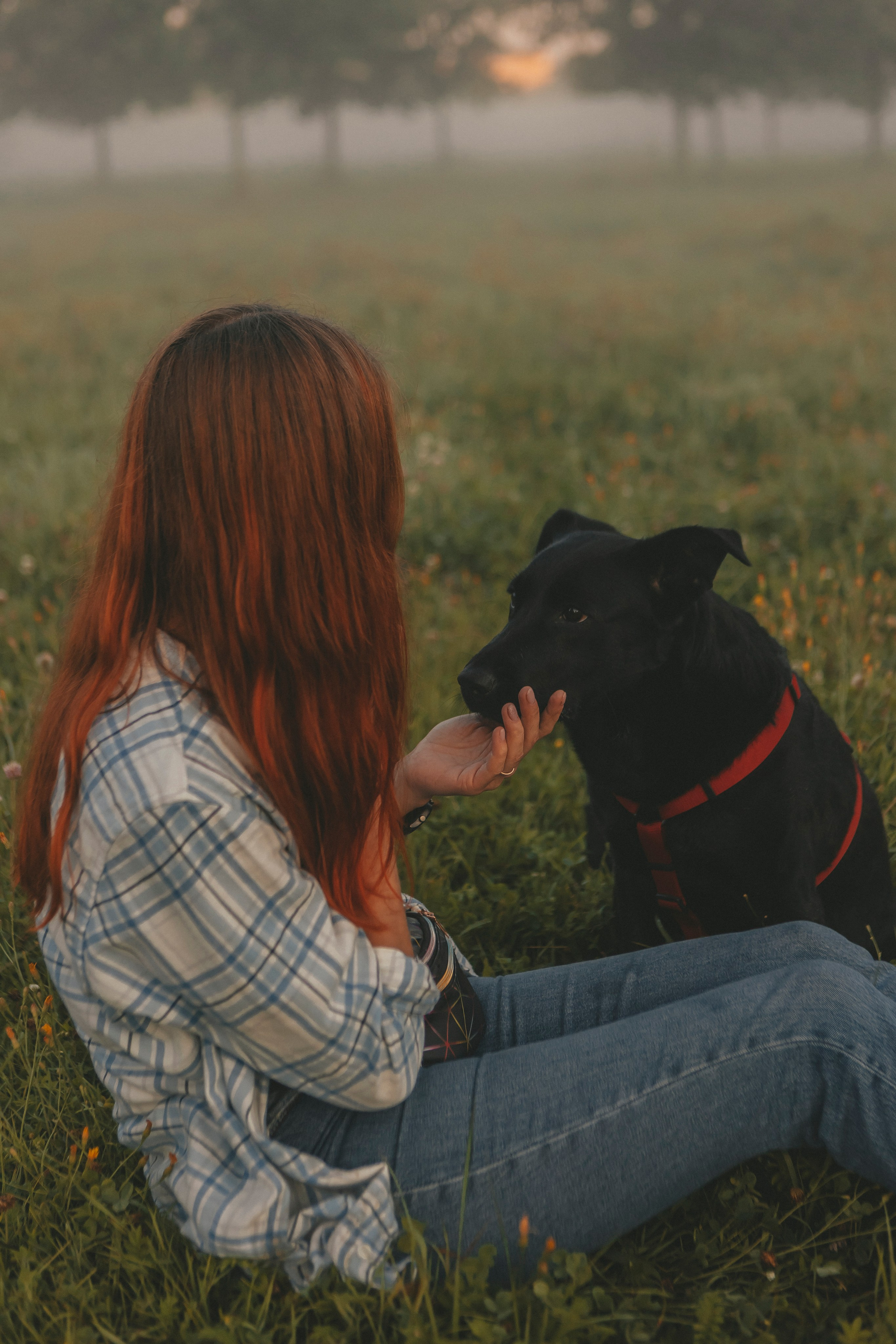 Саша и Дана. Фотограф-анималист в Санкт-Петербурге Алина Яхонт