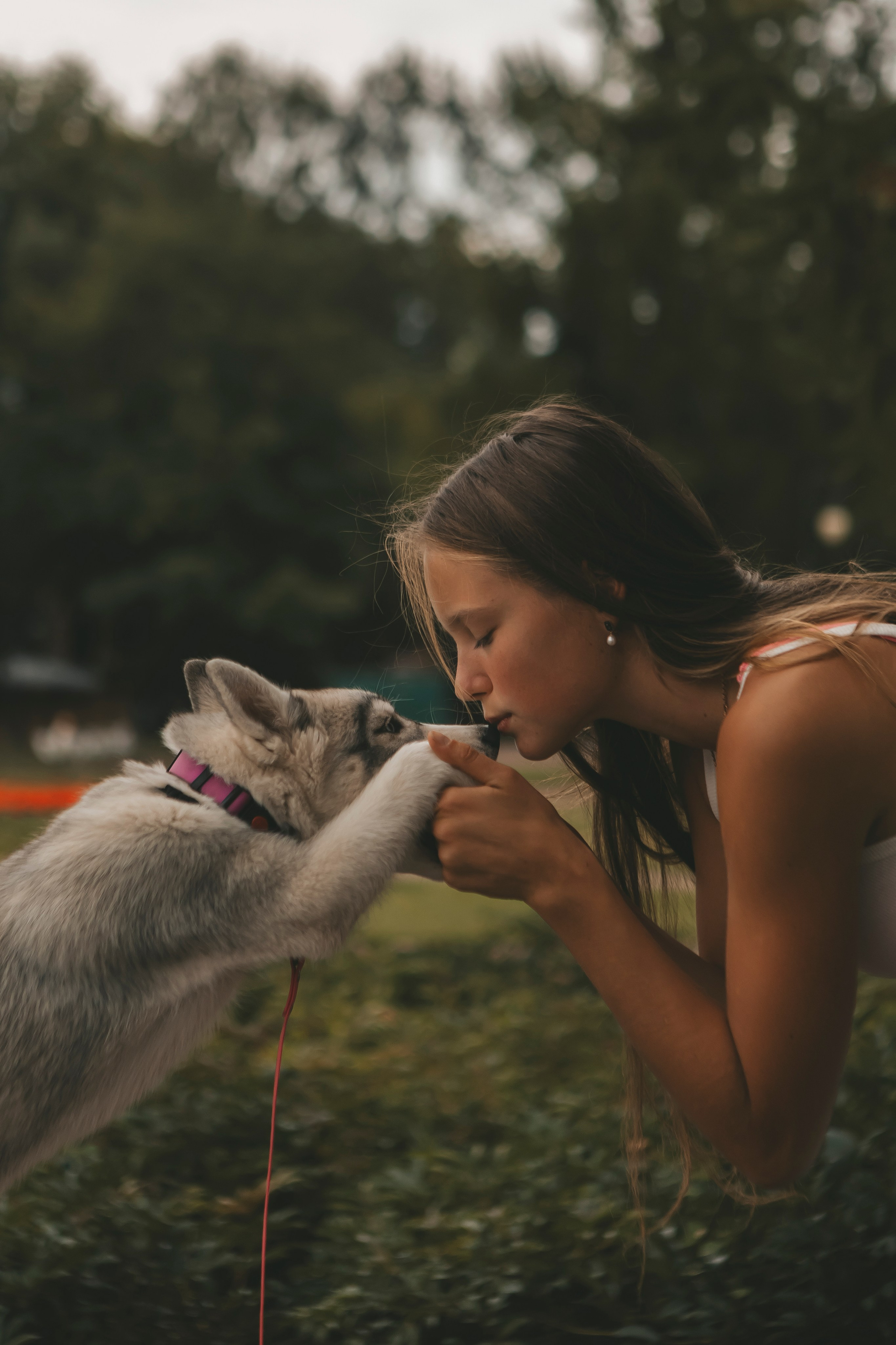 Милана и Белка. Фотограф-анималист в Санкт-Петербурге Алина Яхонт