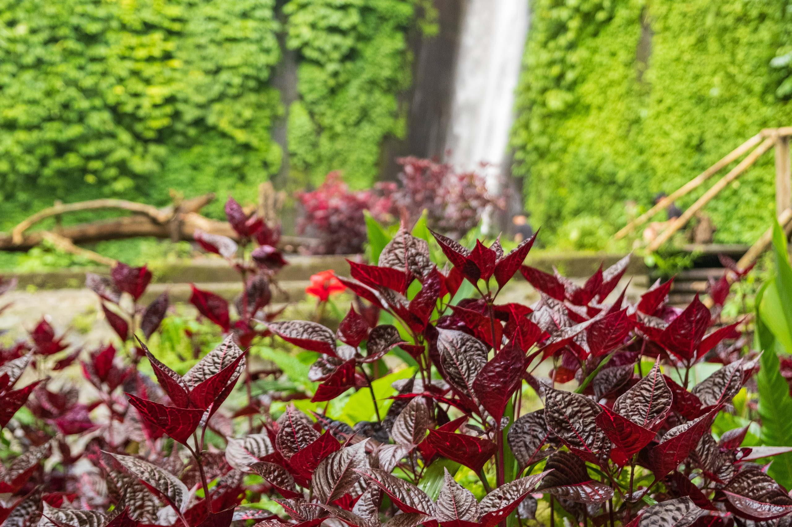 Остров Бали. Фотографии из путешествий