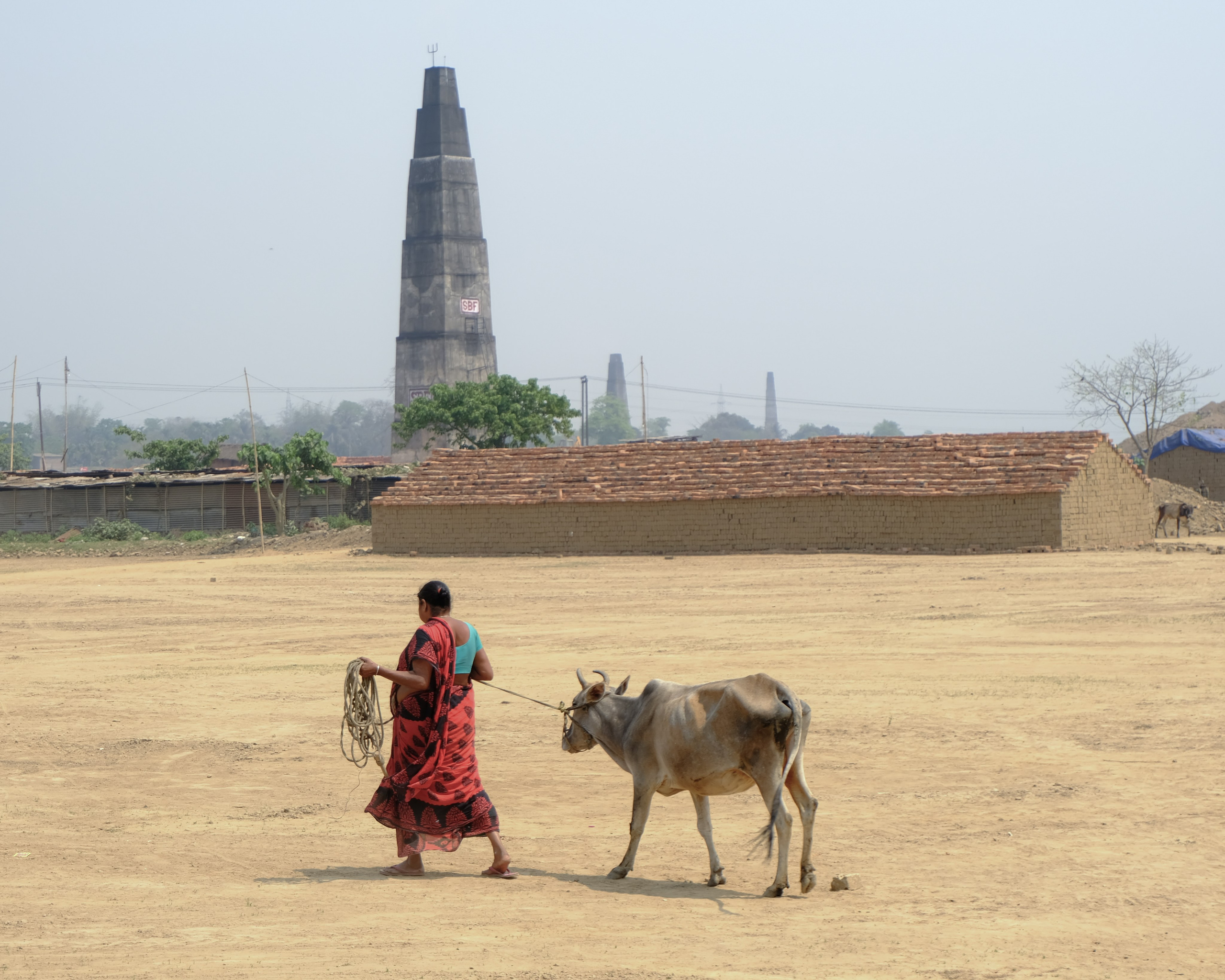 Индия штат Ассам день 2-й. Фотографии из путешествий