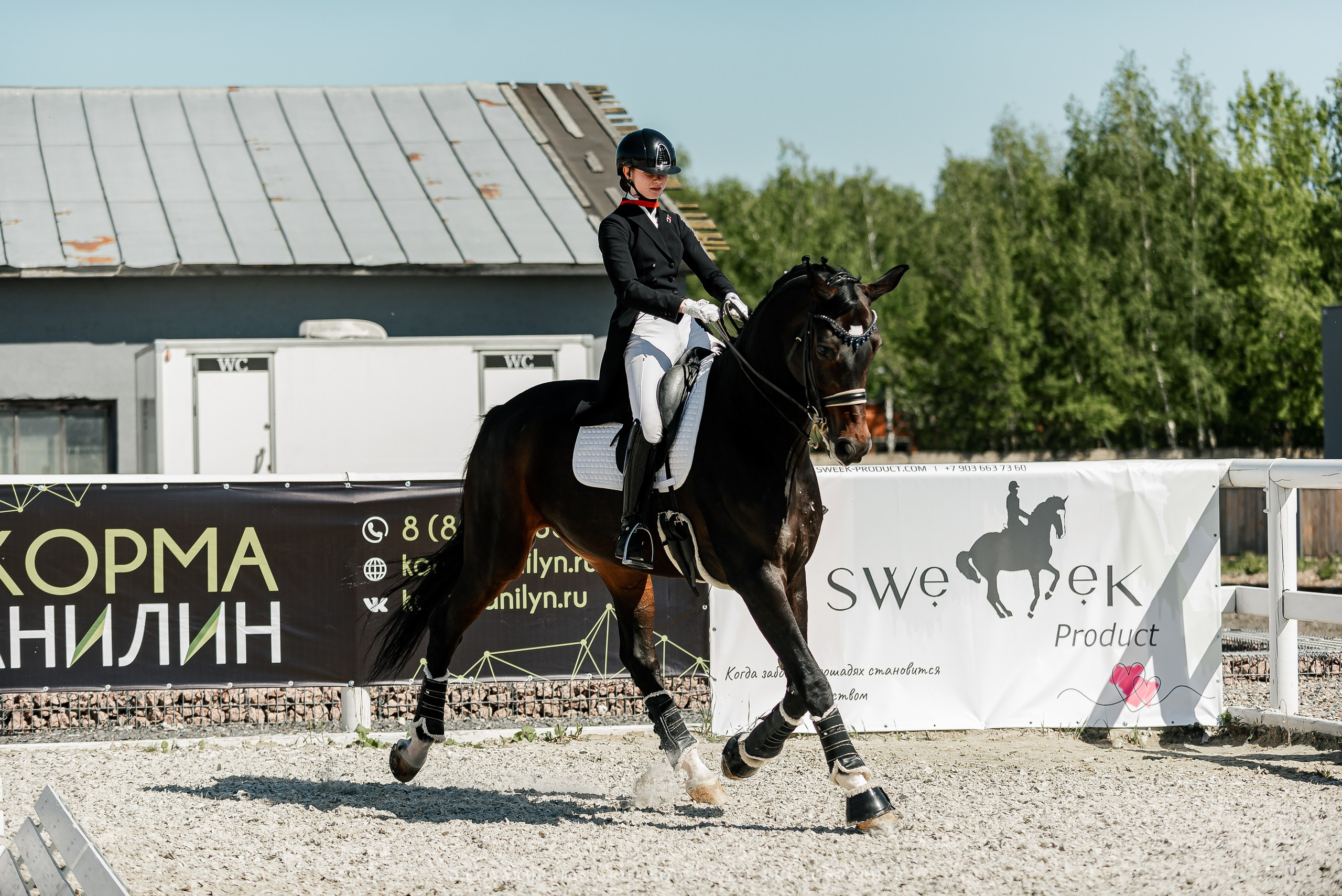 РЕПОРТАЖ МКК ВОЛЬТ «LA TULIPS». Конный фотограф Куракина Дарья • Фотосессии с лошадьми