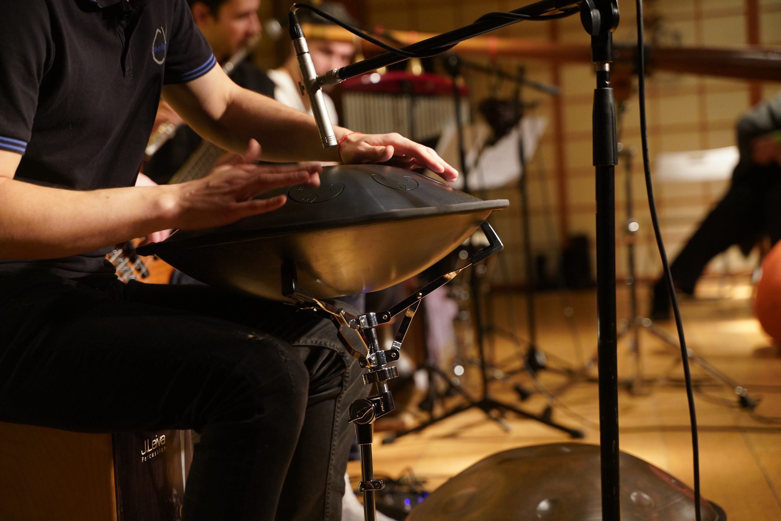 Концерт Forest jam project. Портретный и репортажный фотограф Наталья Горобец