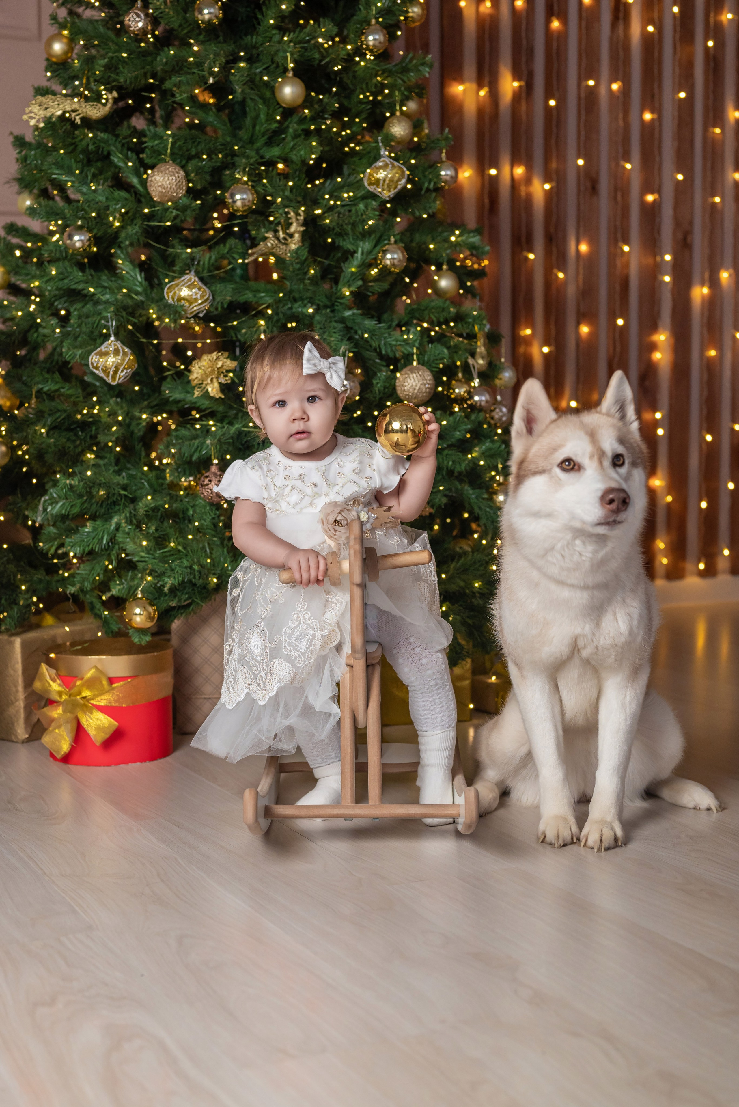 Фотопроект с хаски. Фотограф в городе Салават
