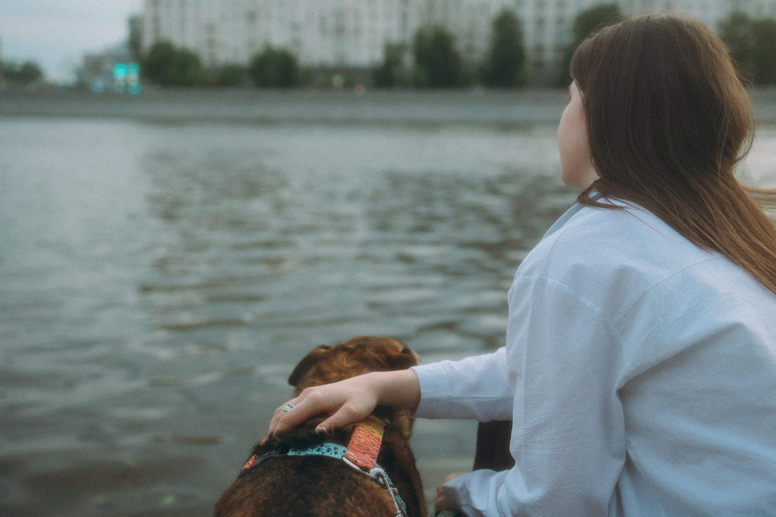 Глаша, Айрон, Ксюша и Оля. Фотограф анималист Анастасия Пикей