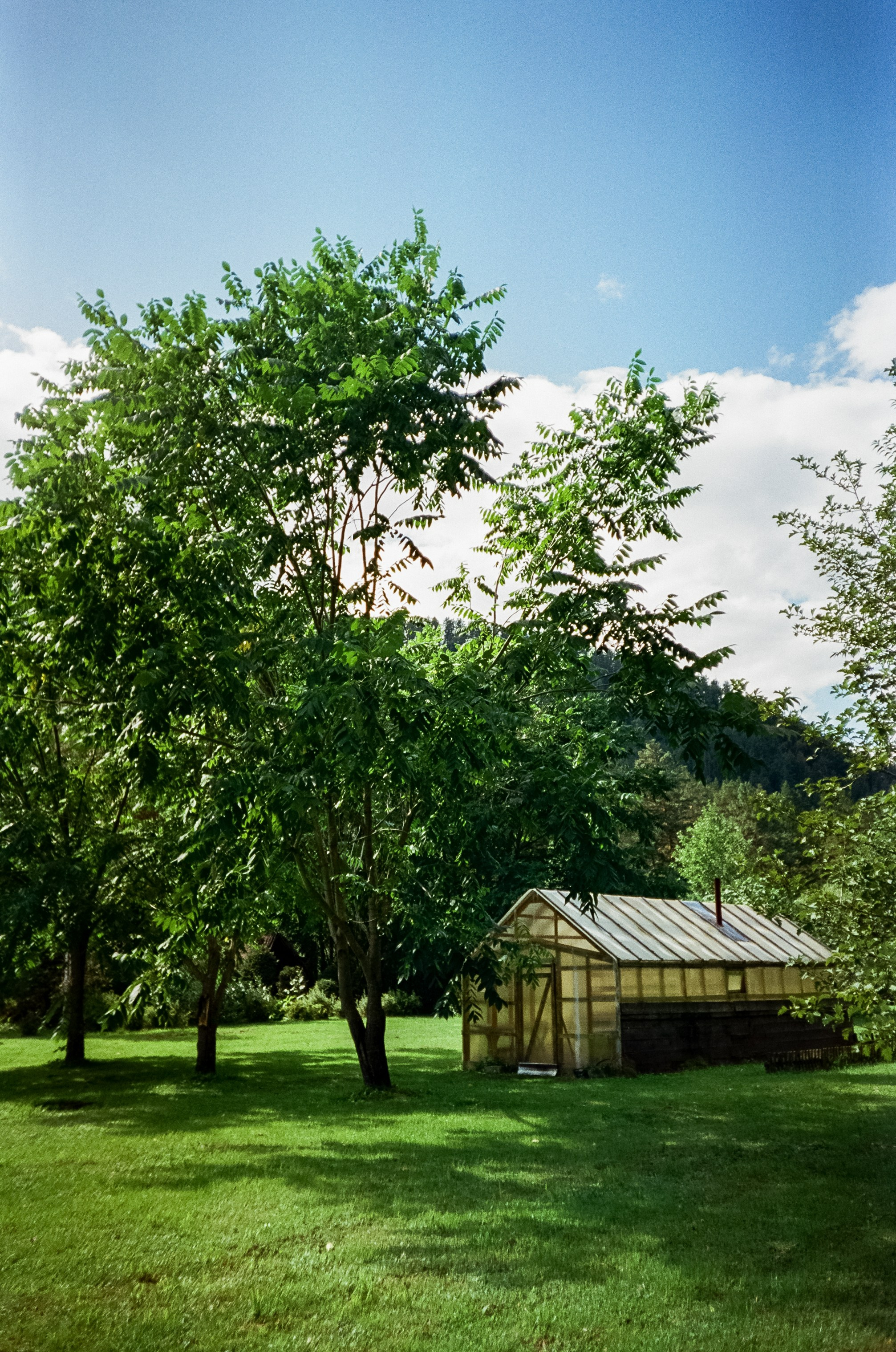 Шаманский Алтай. Фотограф-документалист Мария Осокина