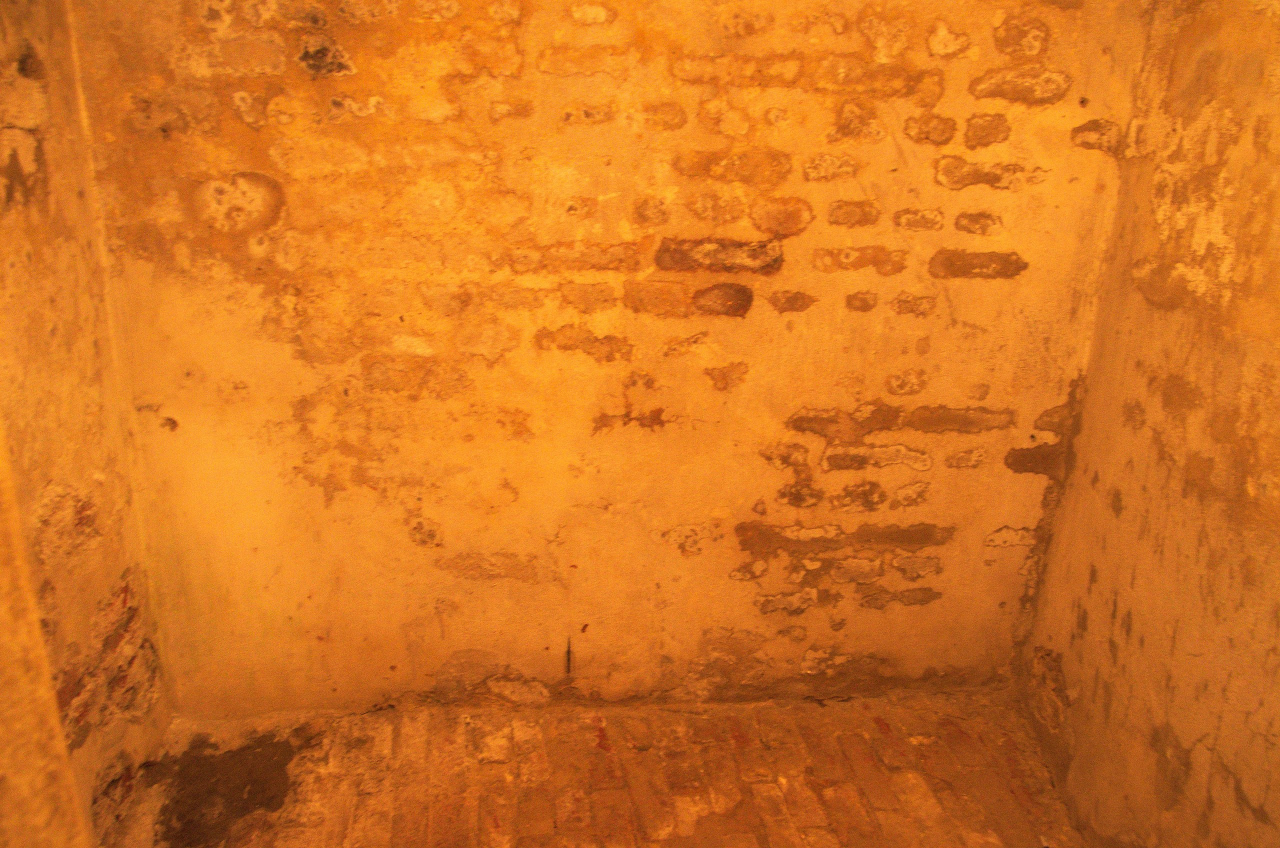 Сергиев Посад | 11.12.2016. Галерея Фантим