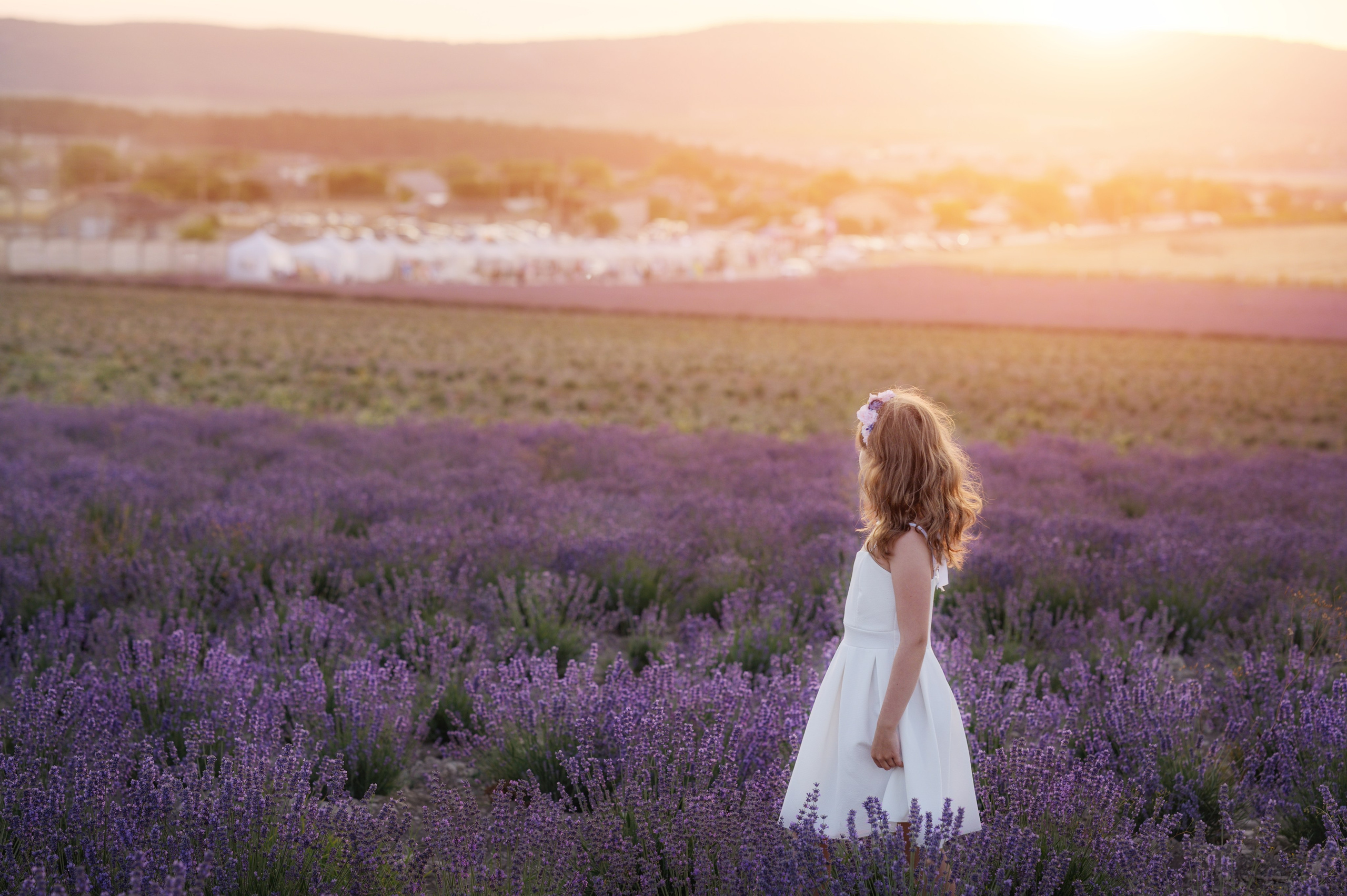 Фотосессия в лавандовом поле. Фотограф Симферополь Крым Ольга Топоривская